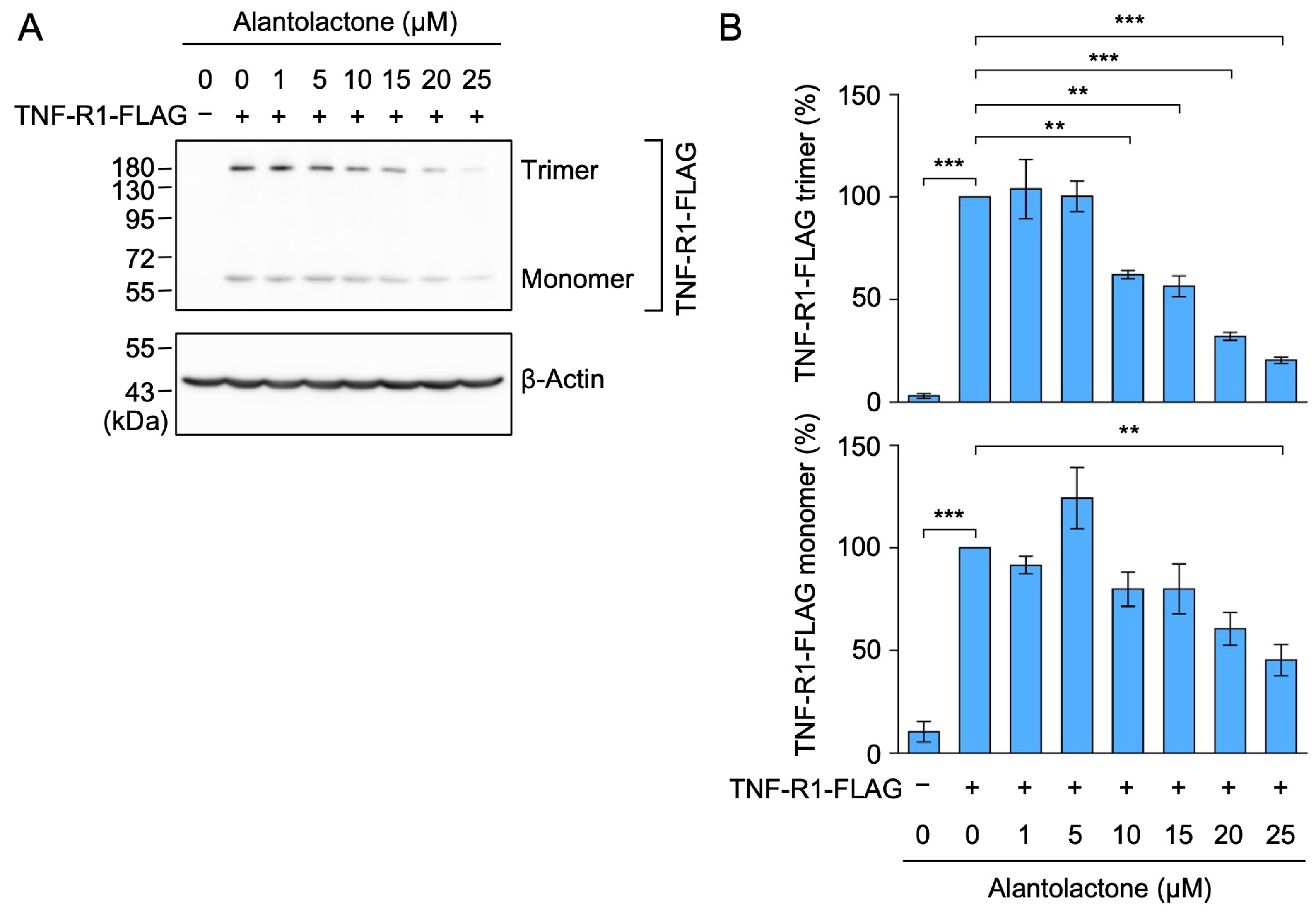 Molecules 29 01866 g003