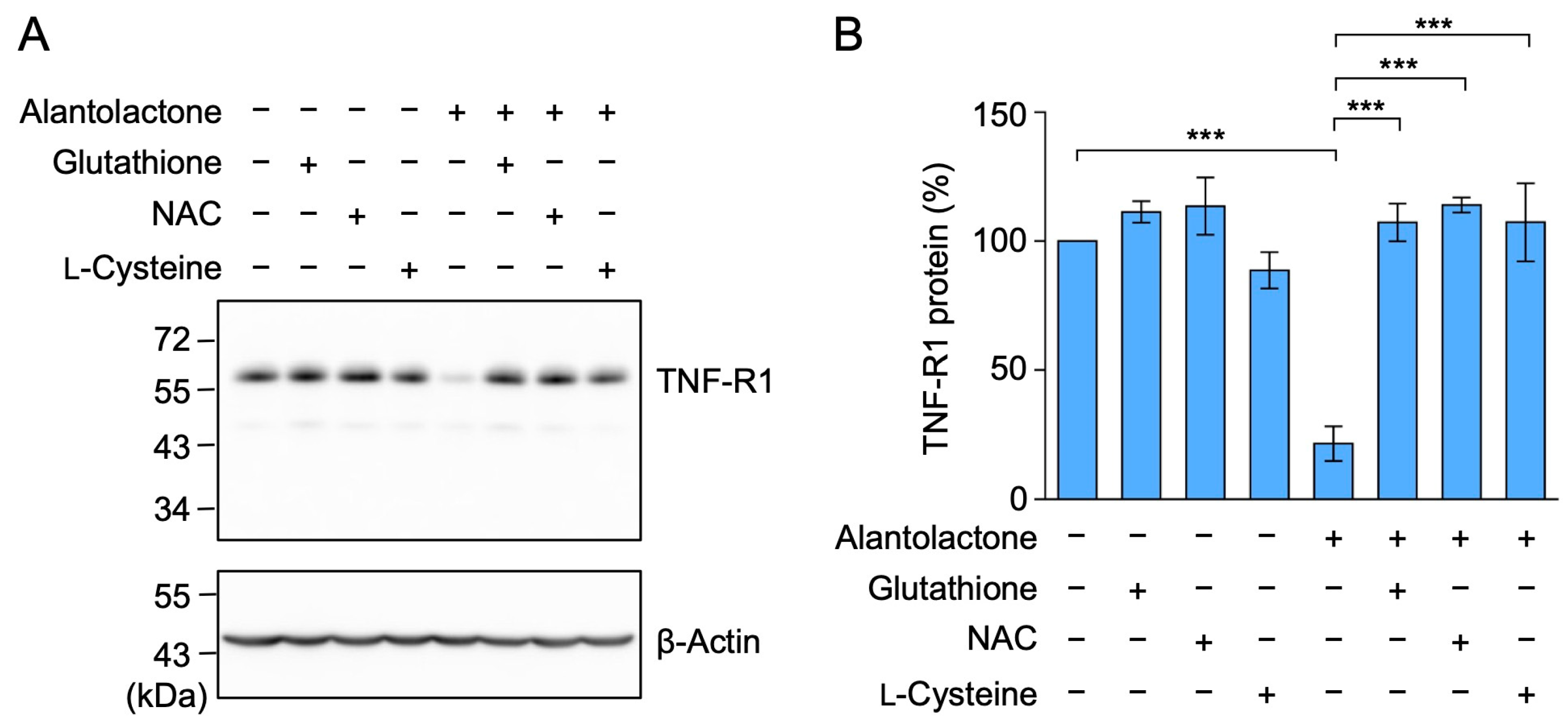 Molecules 29 01866 g006