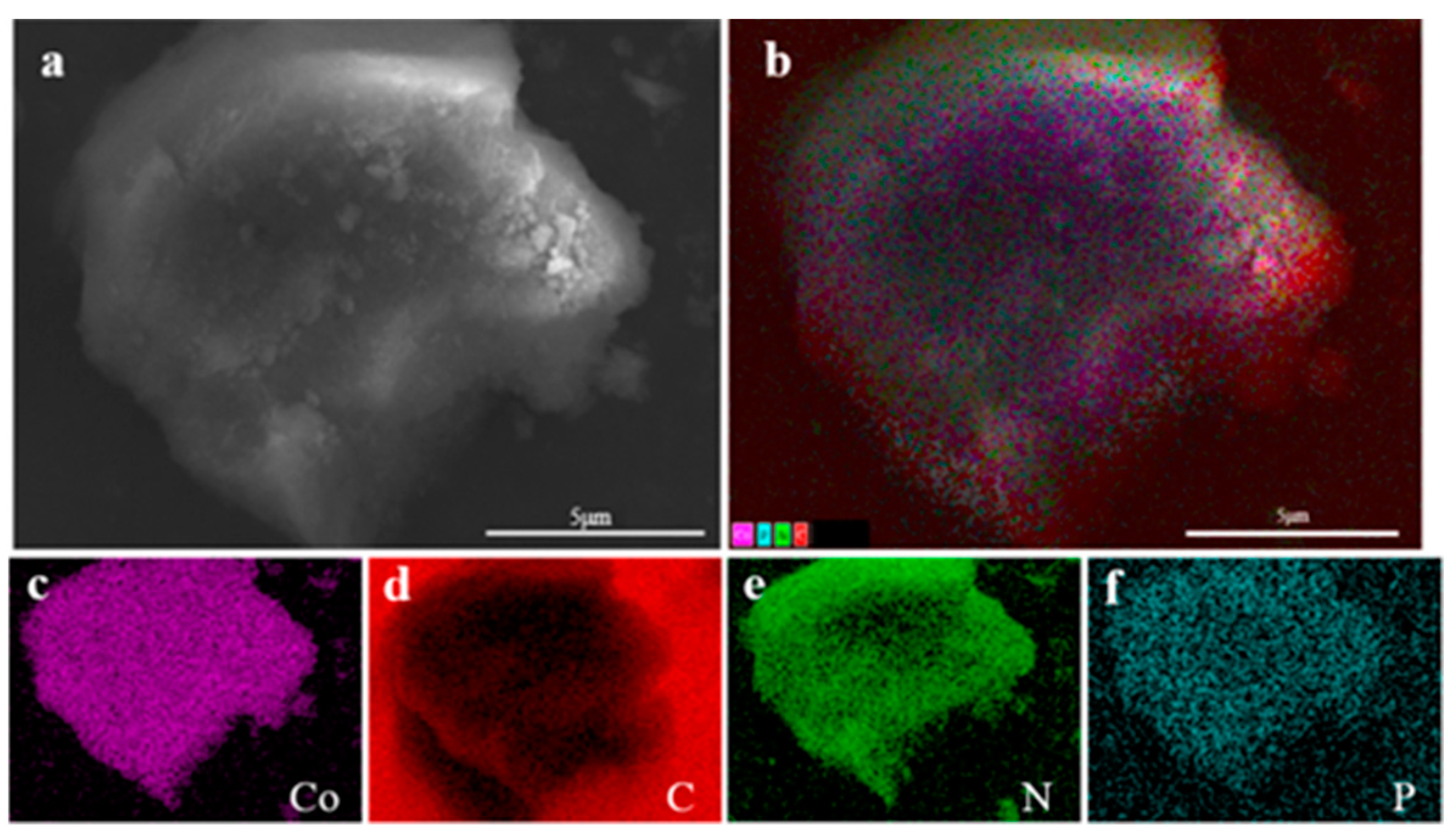 Molecules 29 01869 g004
