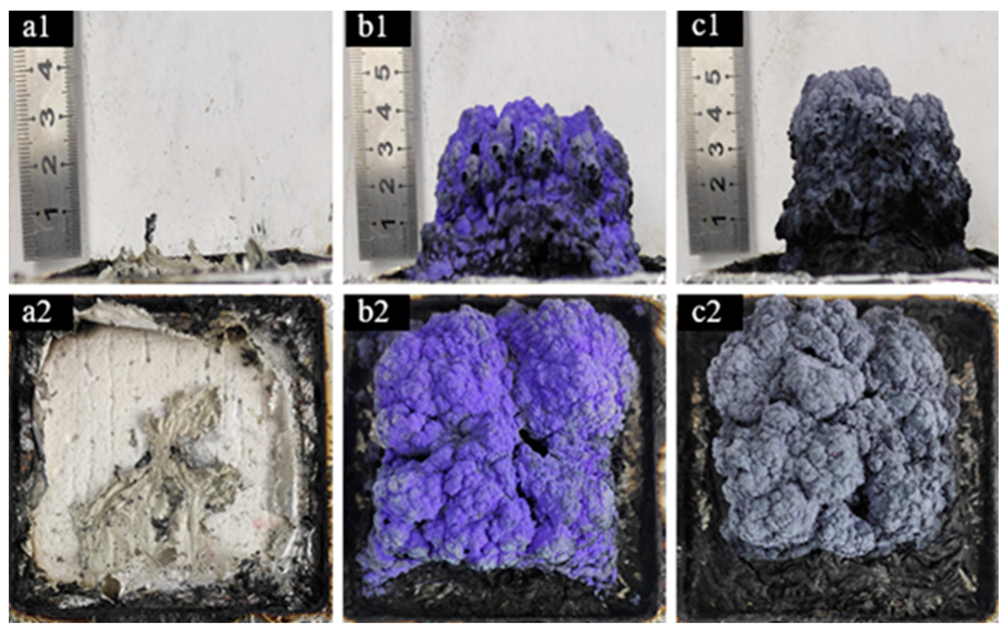 Molecules 29 01869 g008