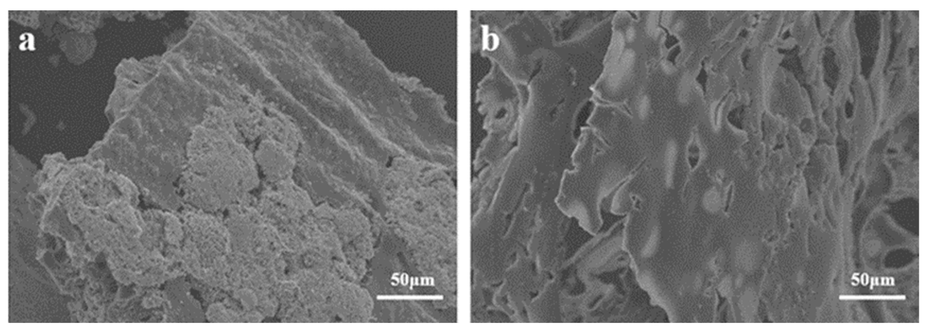 Molecules 29 01869 g009