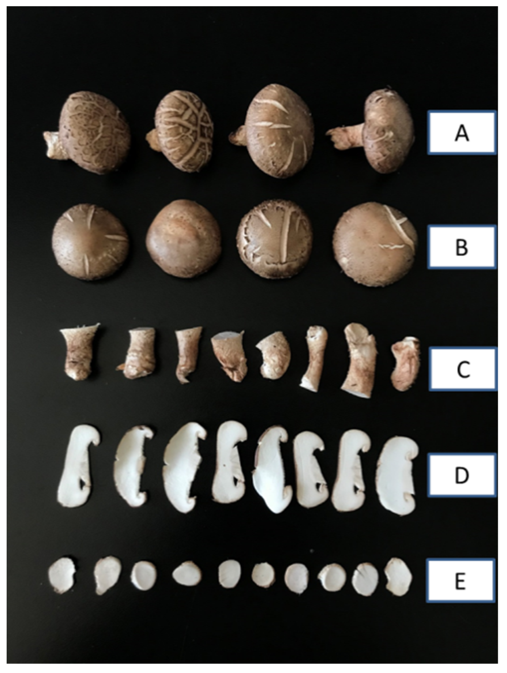 Molecules 29 01872 g007 Molecules 29 01872 g007