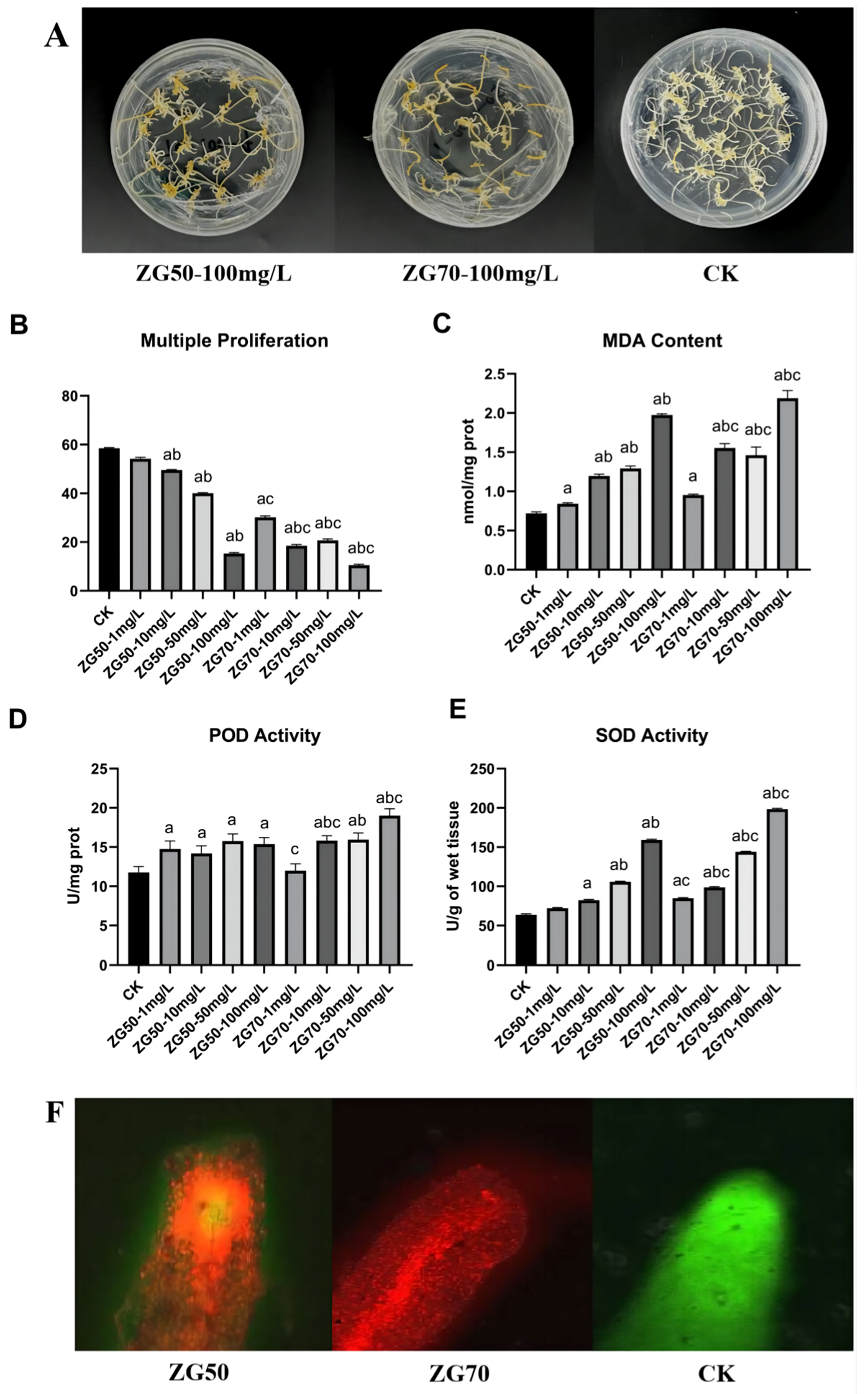 Molecules 29 01877 g001
