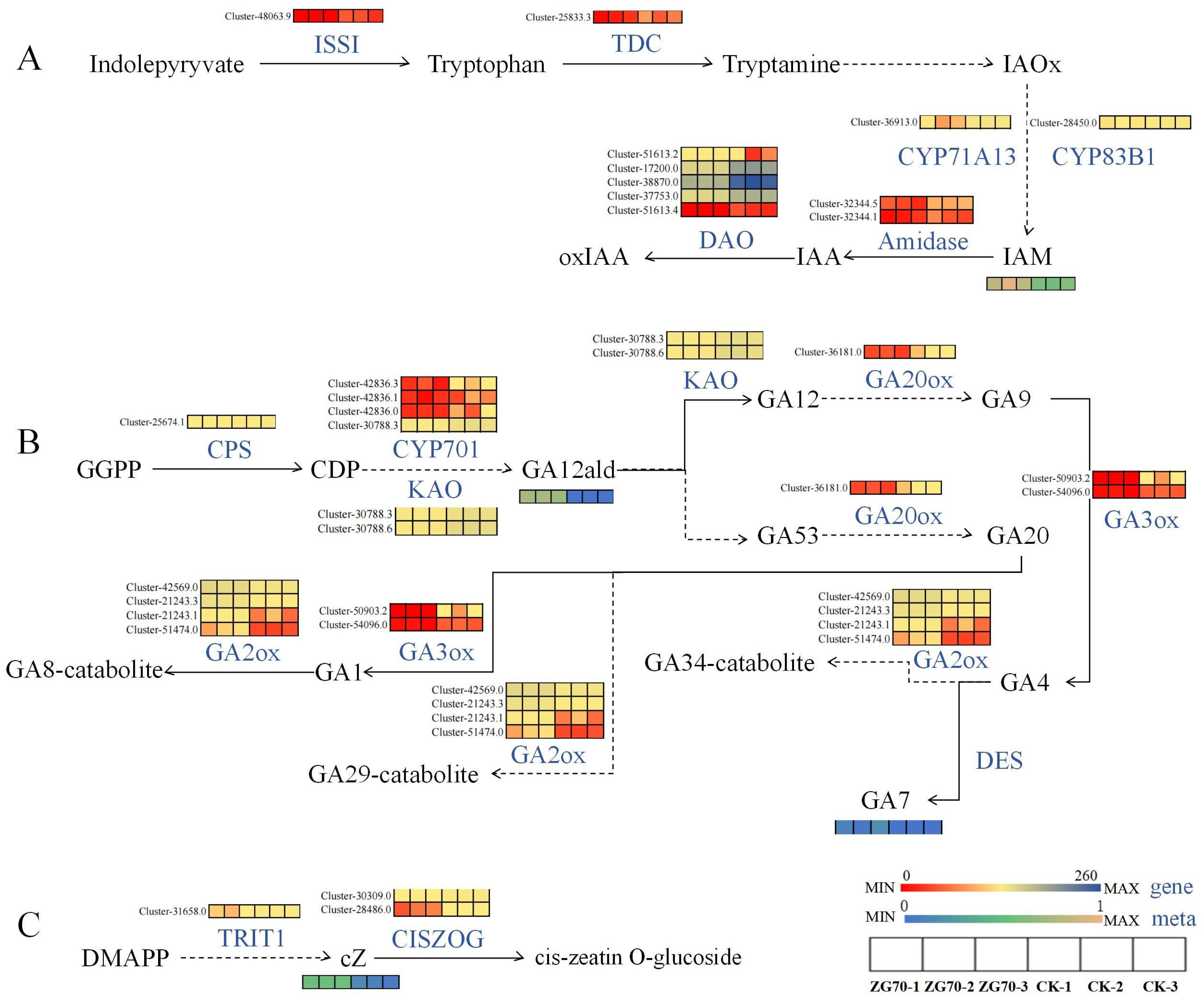 Molecules 29 01877 g009