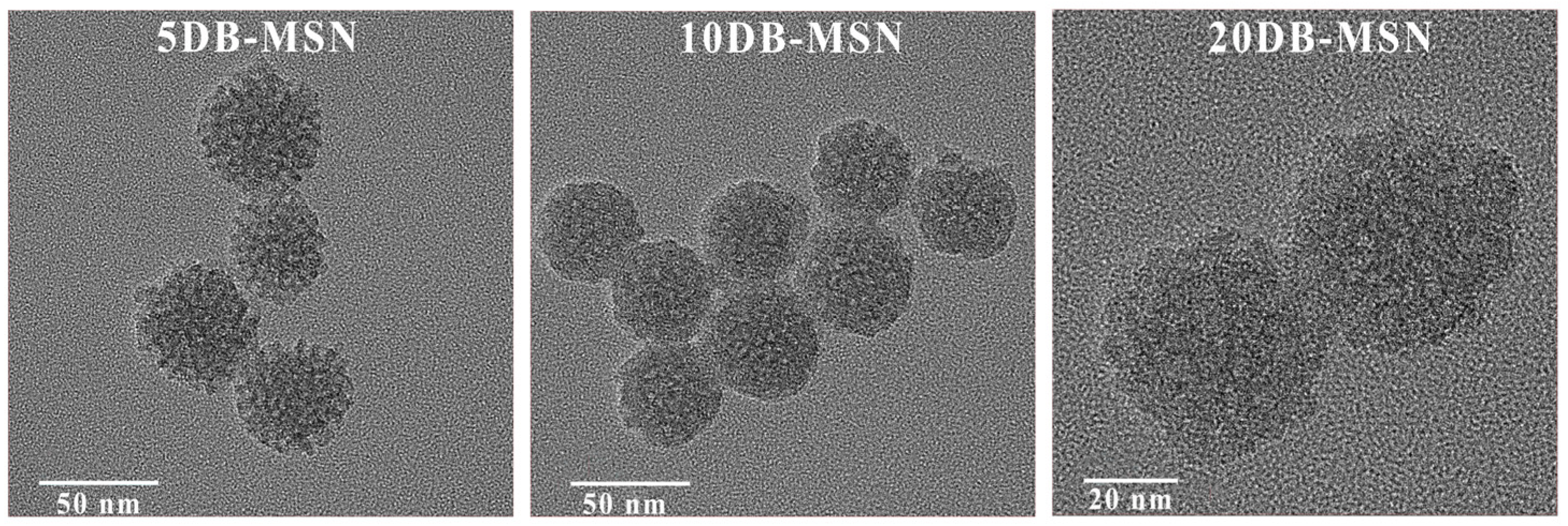 Molecules 29 01888 g002