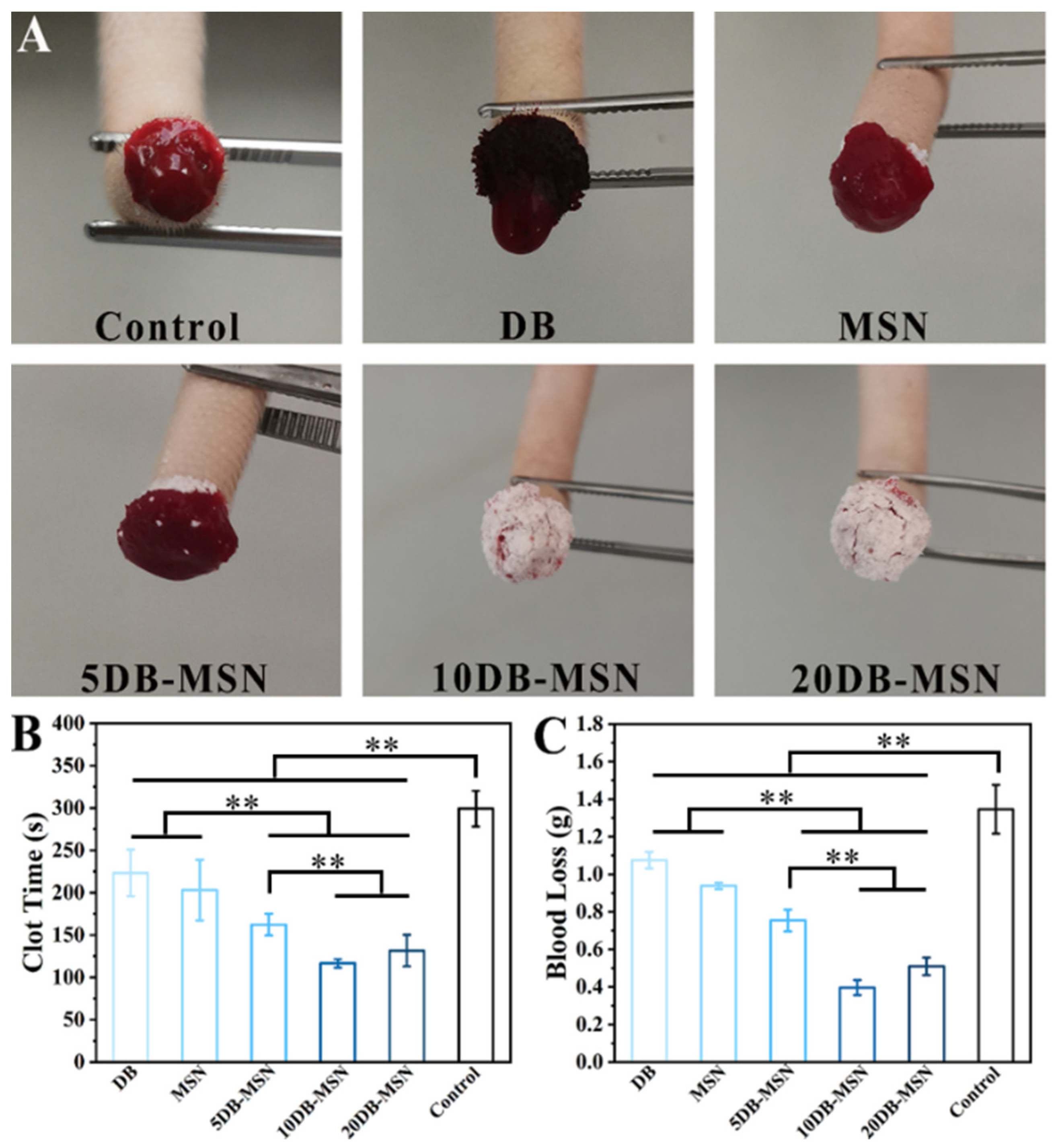 Molecules 29 01888 g005
