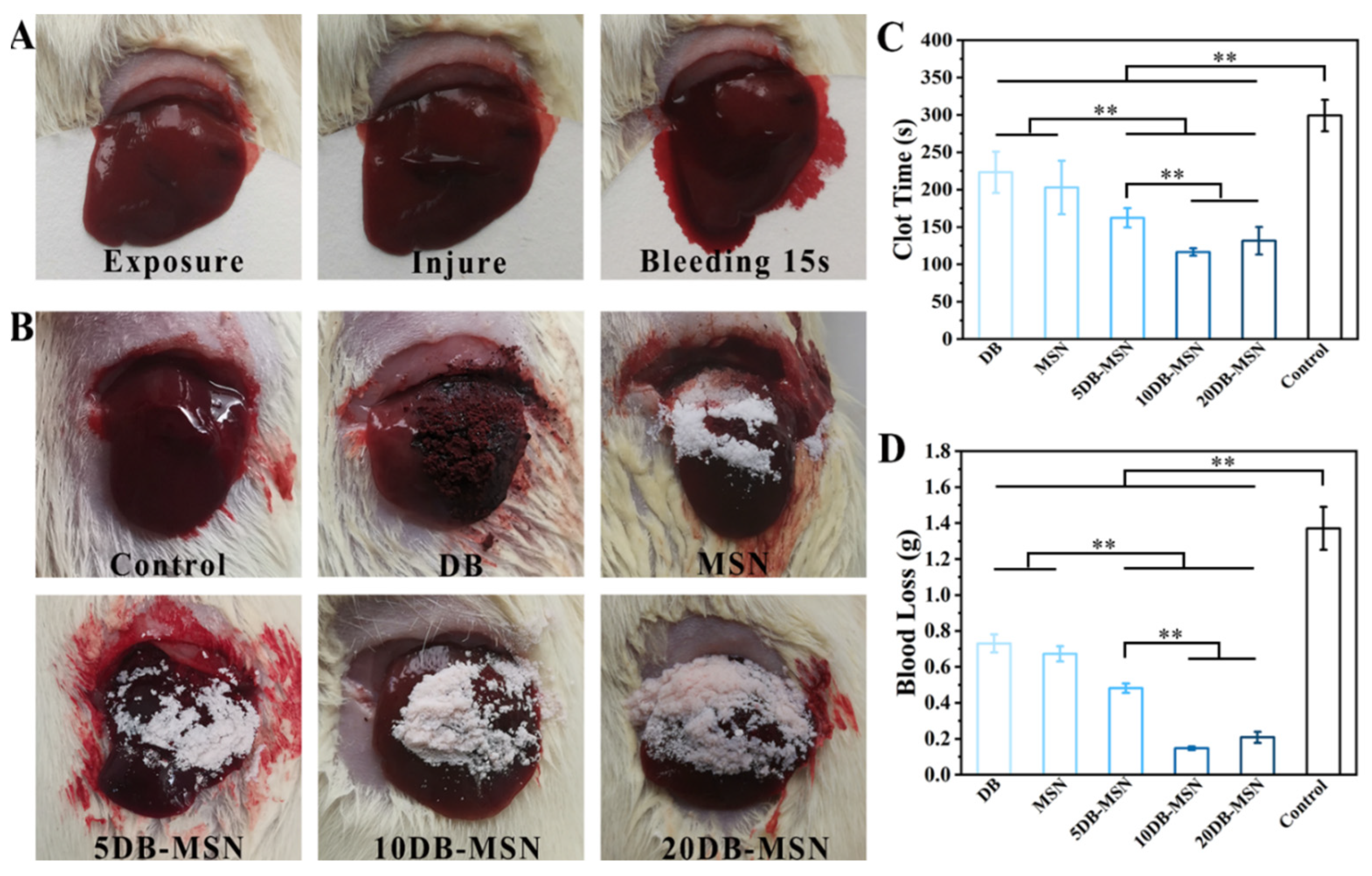 Molecules 29 01888 g006
