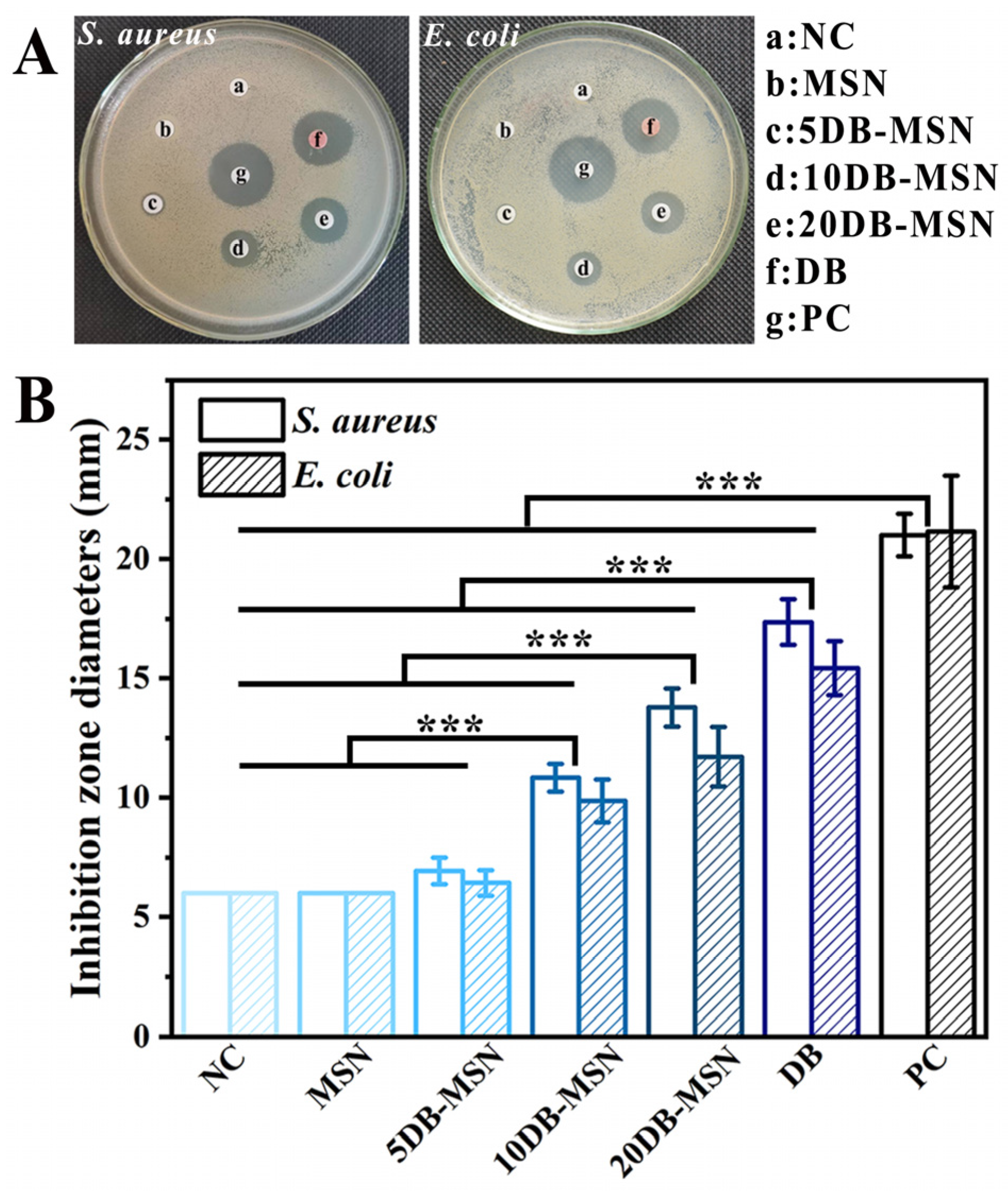 Molecules 29 01888 g007