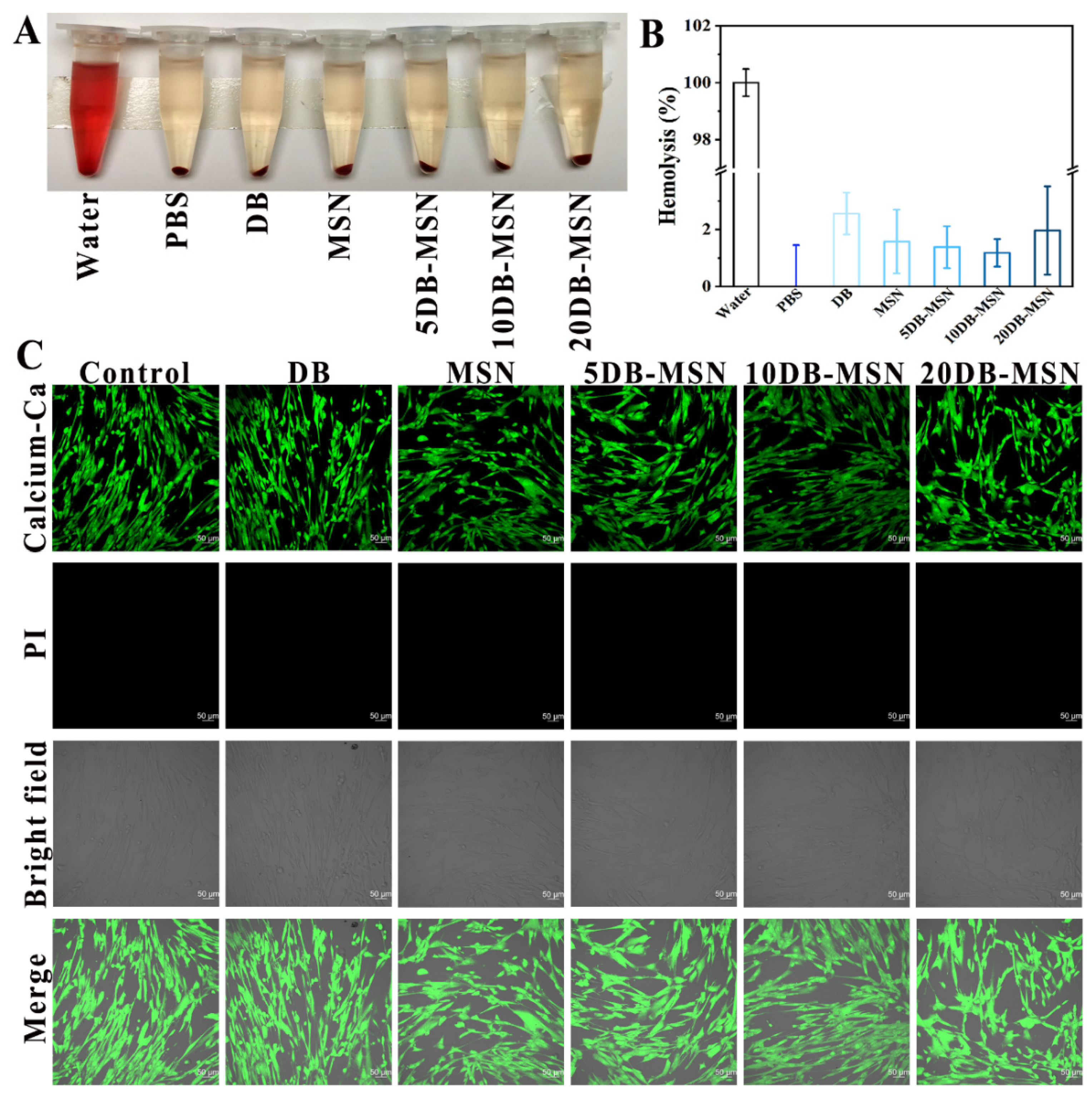 Molecules 29 01888 g008