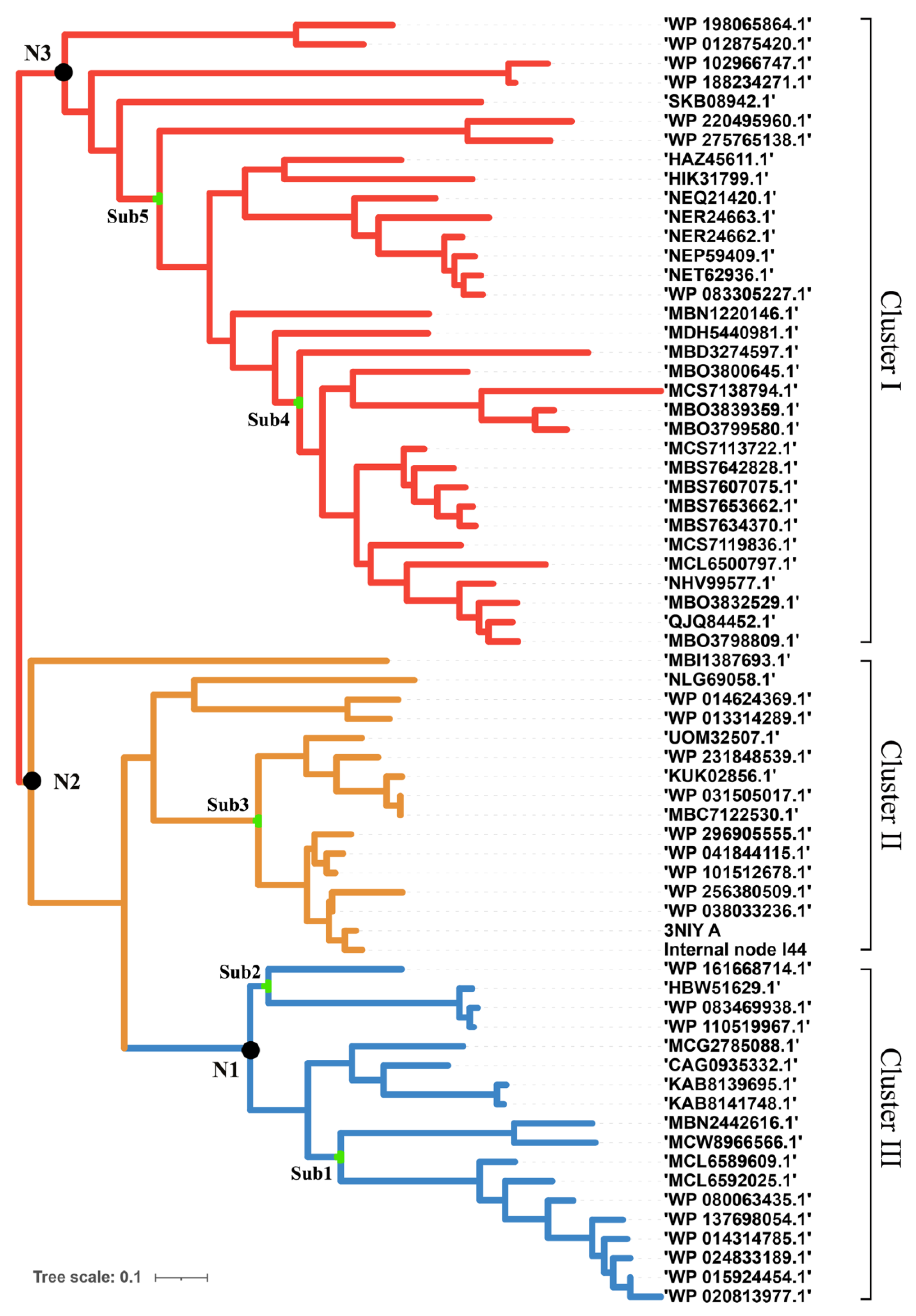 Molecules 29 01895 g001