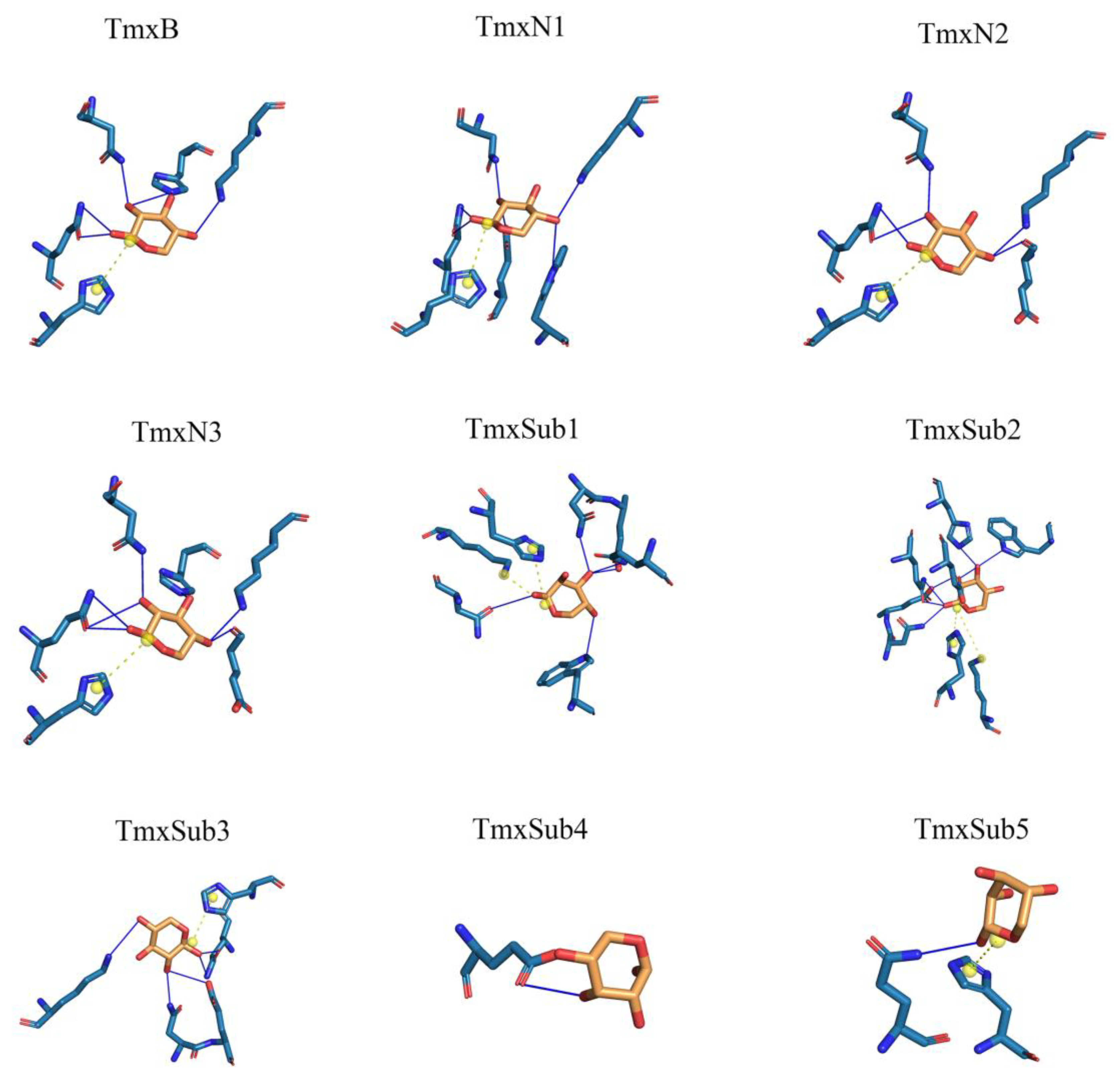 Molecules 29 01895 g002