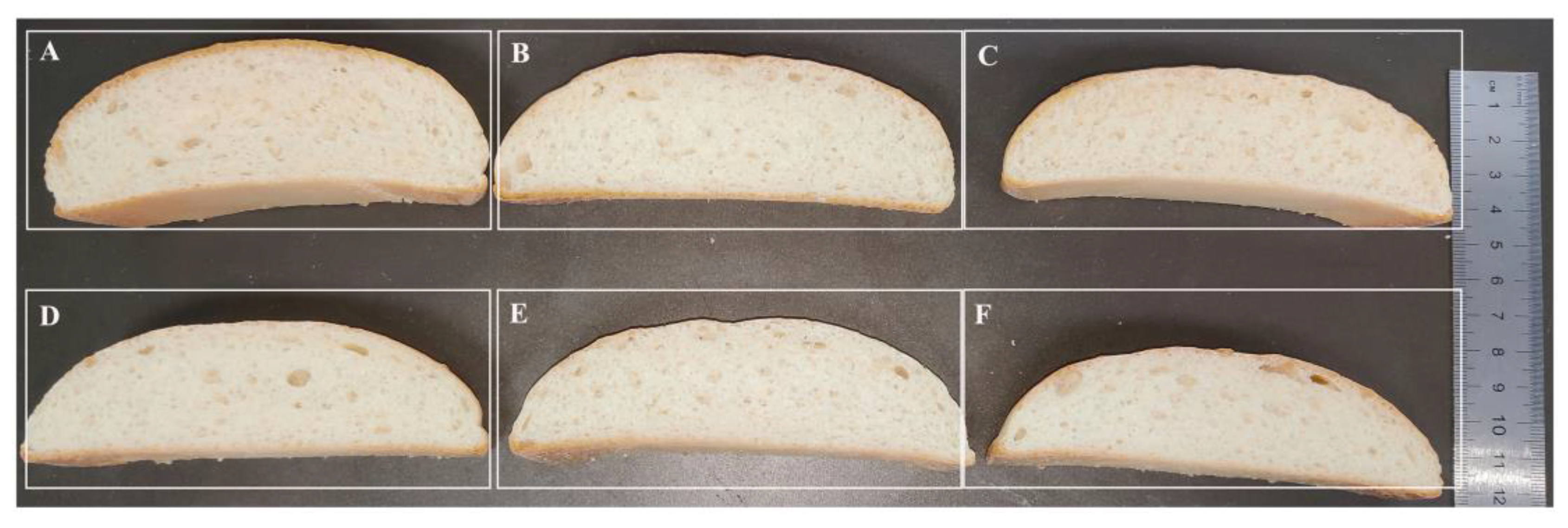 Molecules 29 01895 g006
