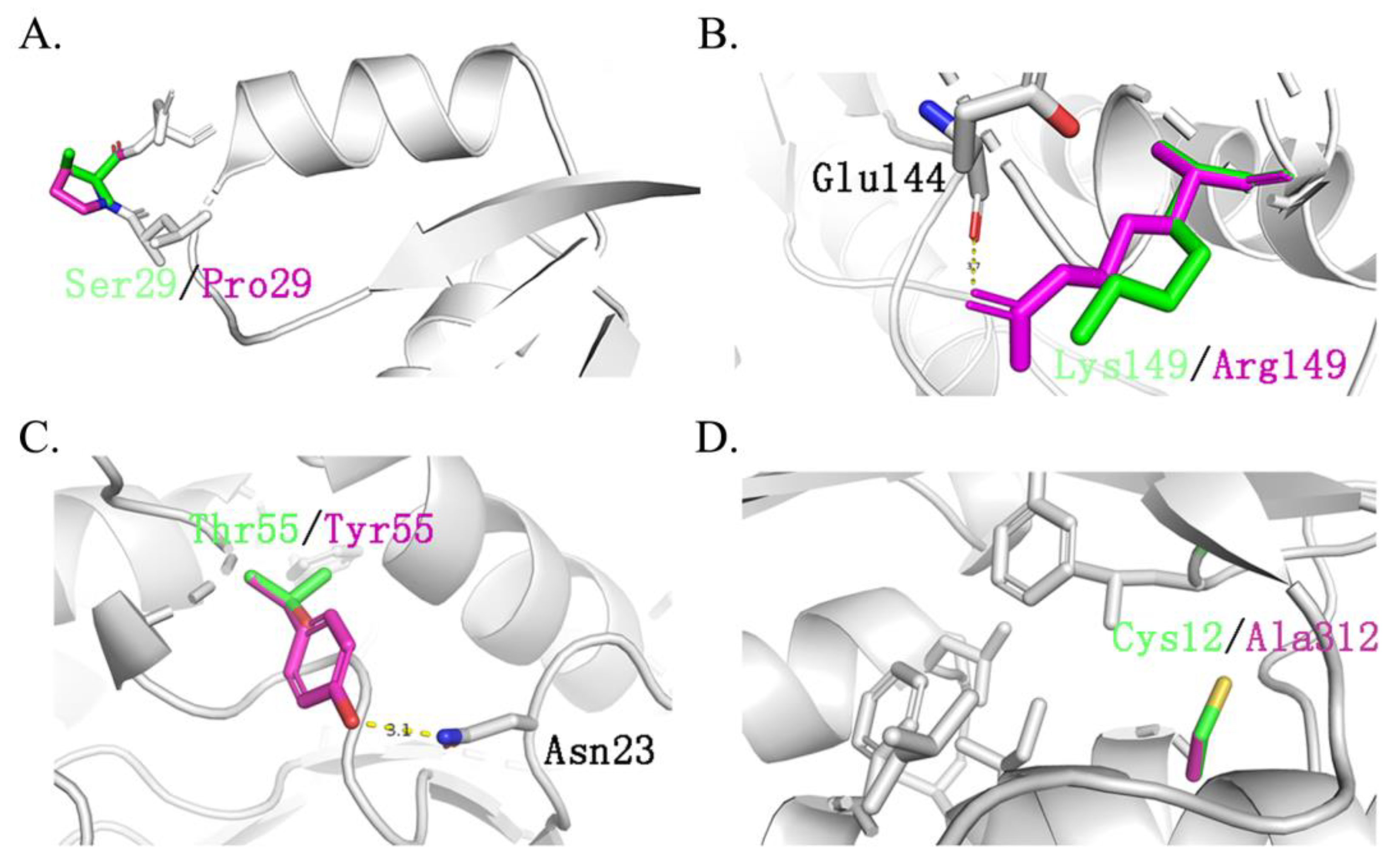 Molecules 29 01895 g007