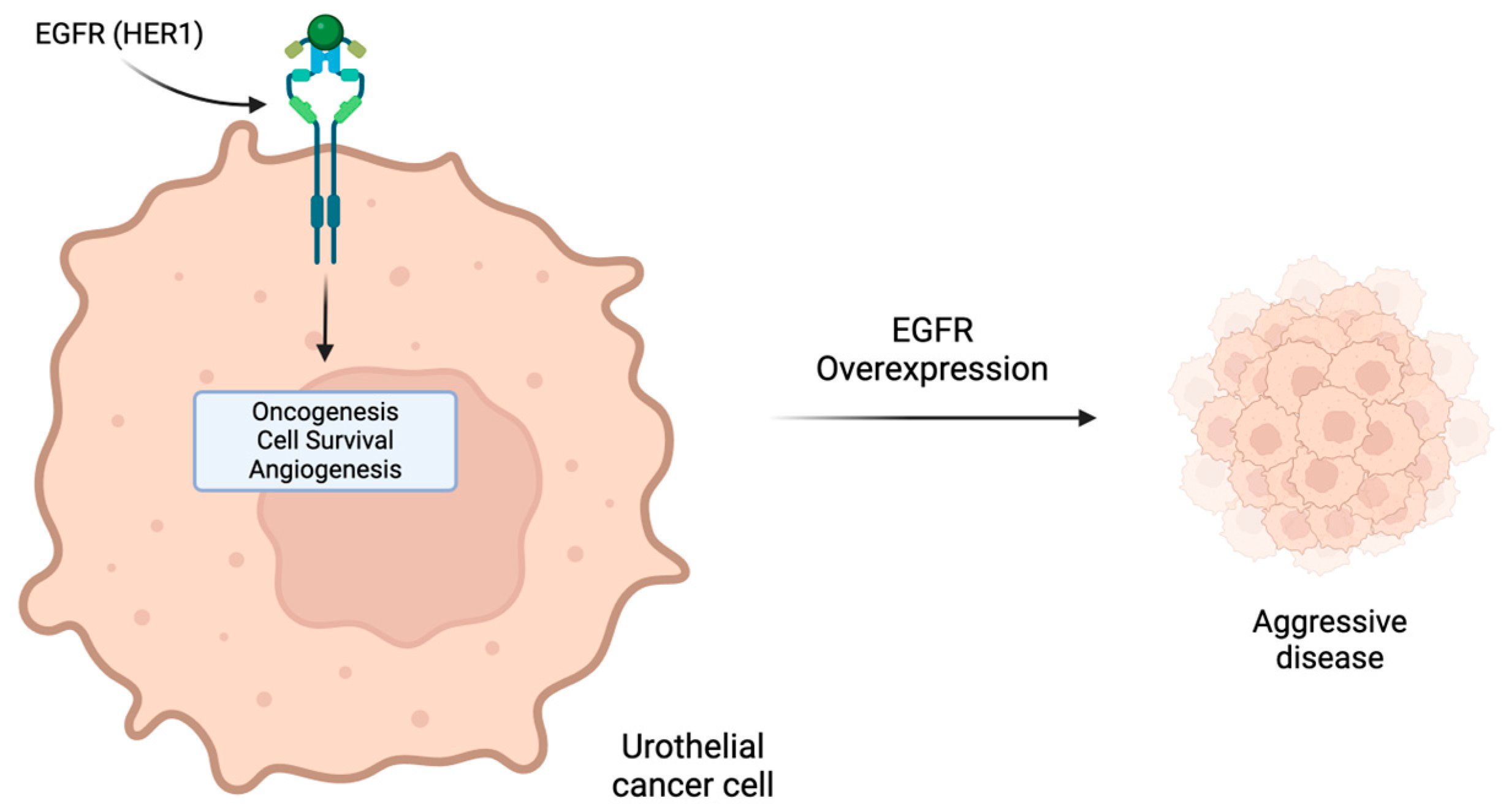 Molecules 29 01896 g003