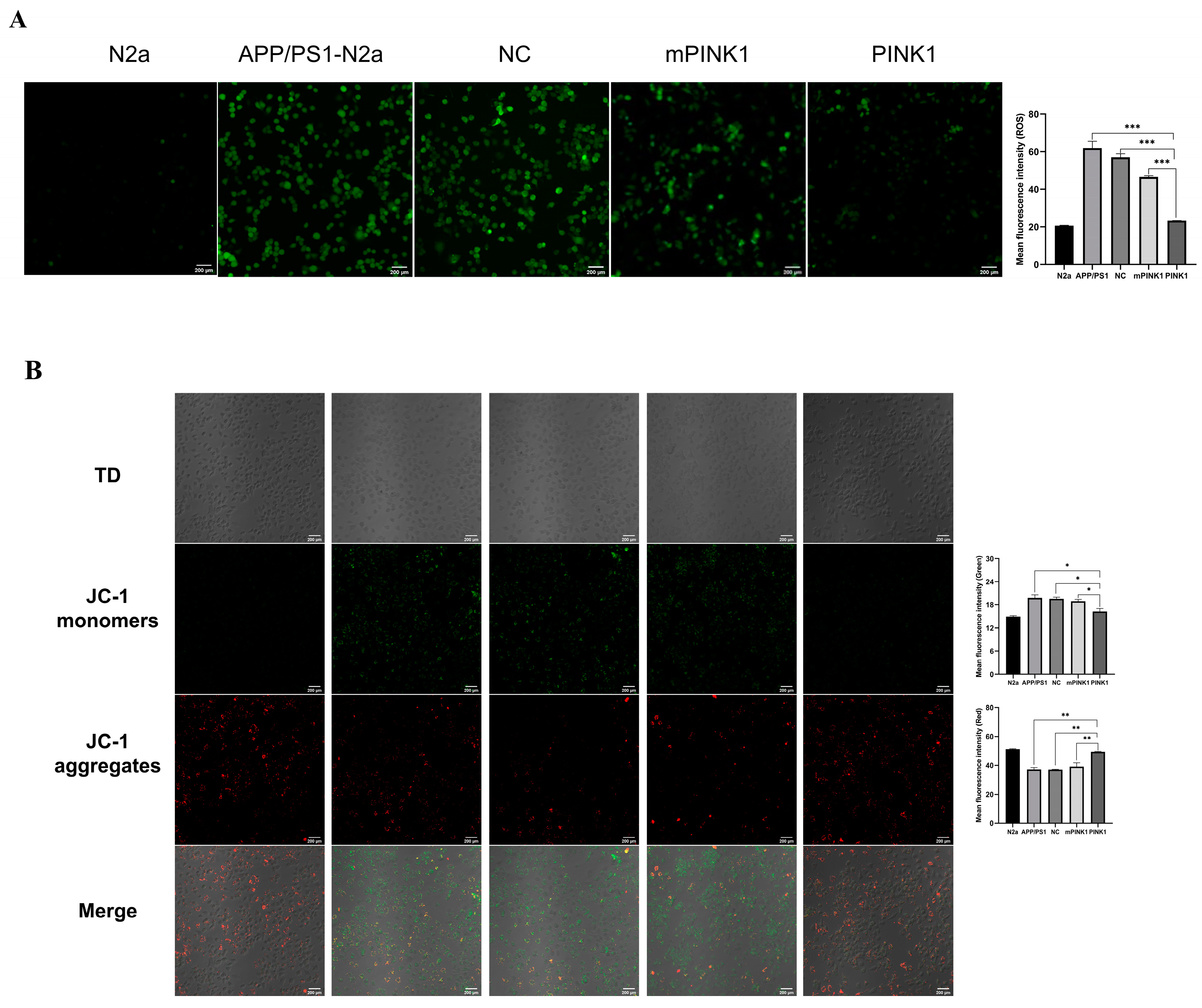 Molecules 29 01907 g004