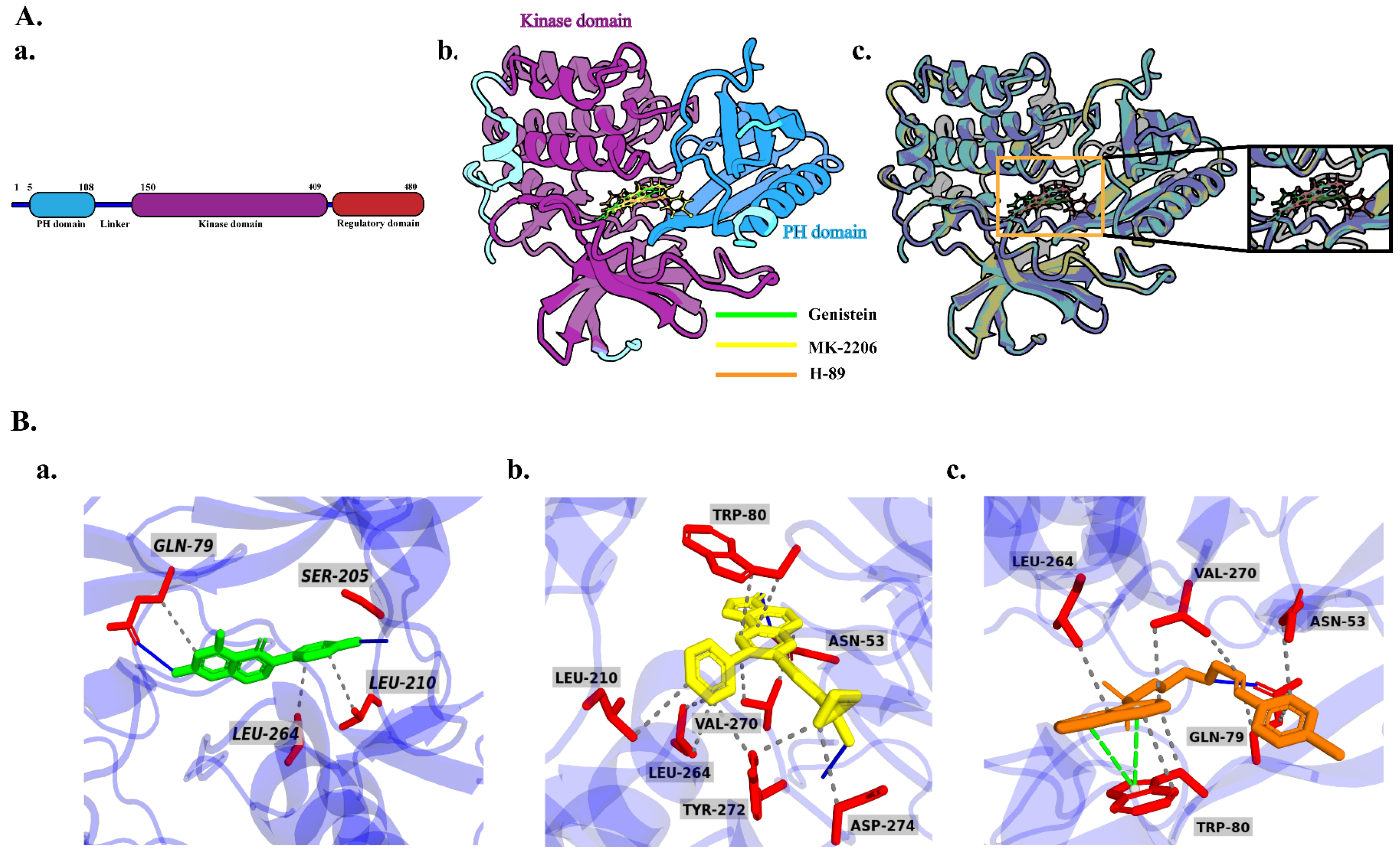 Molecules 29 01913 g006