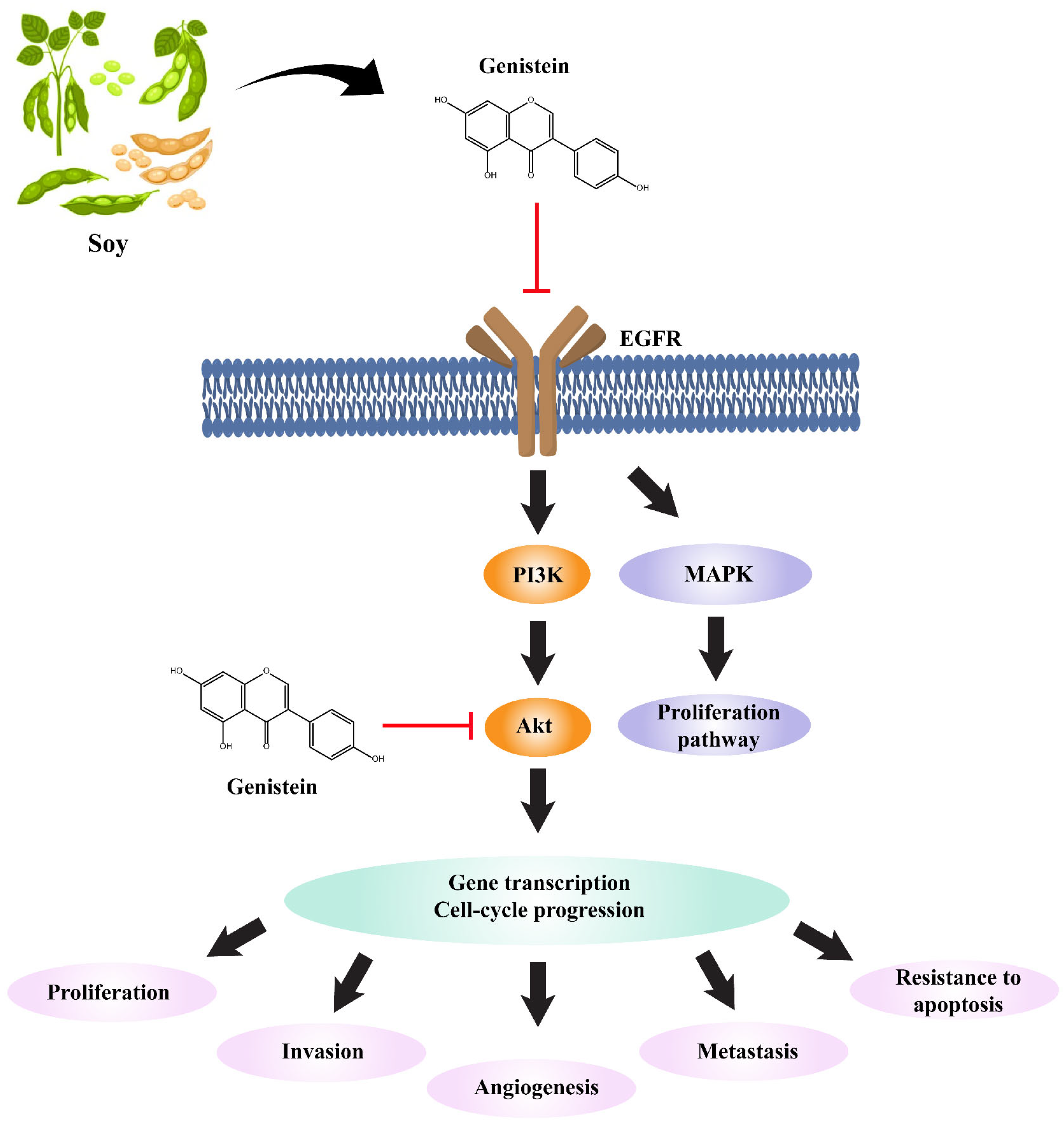 Molecules 29 01913 g012