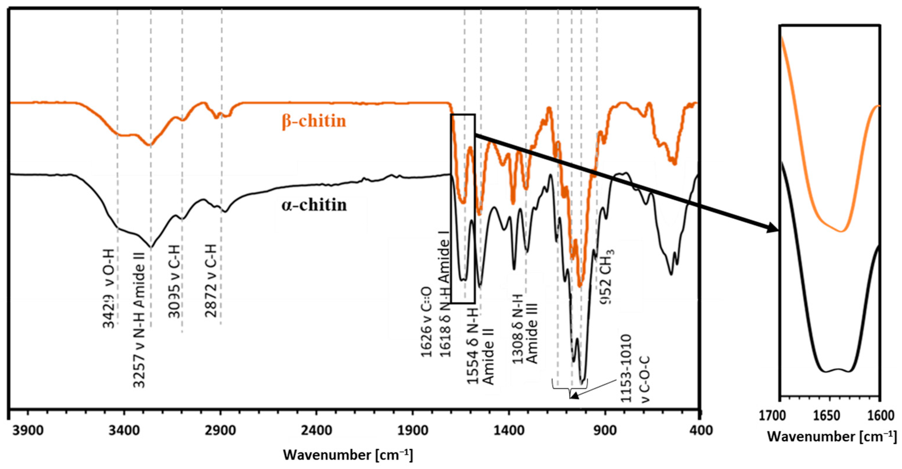 Molecules 29 01914 g003