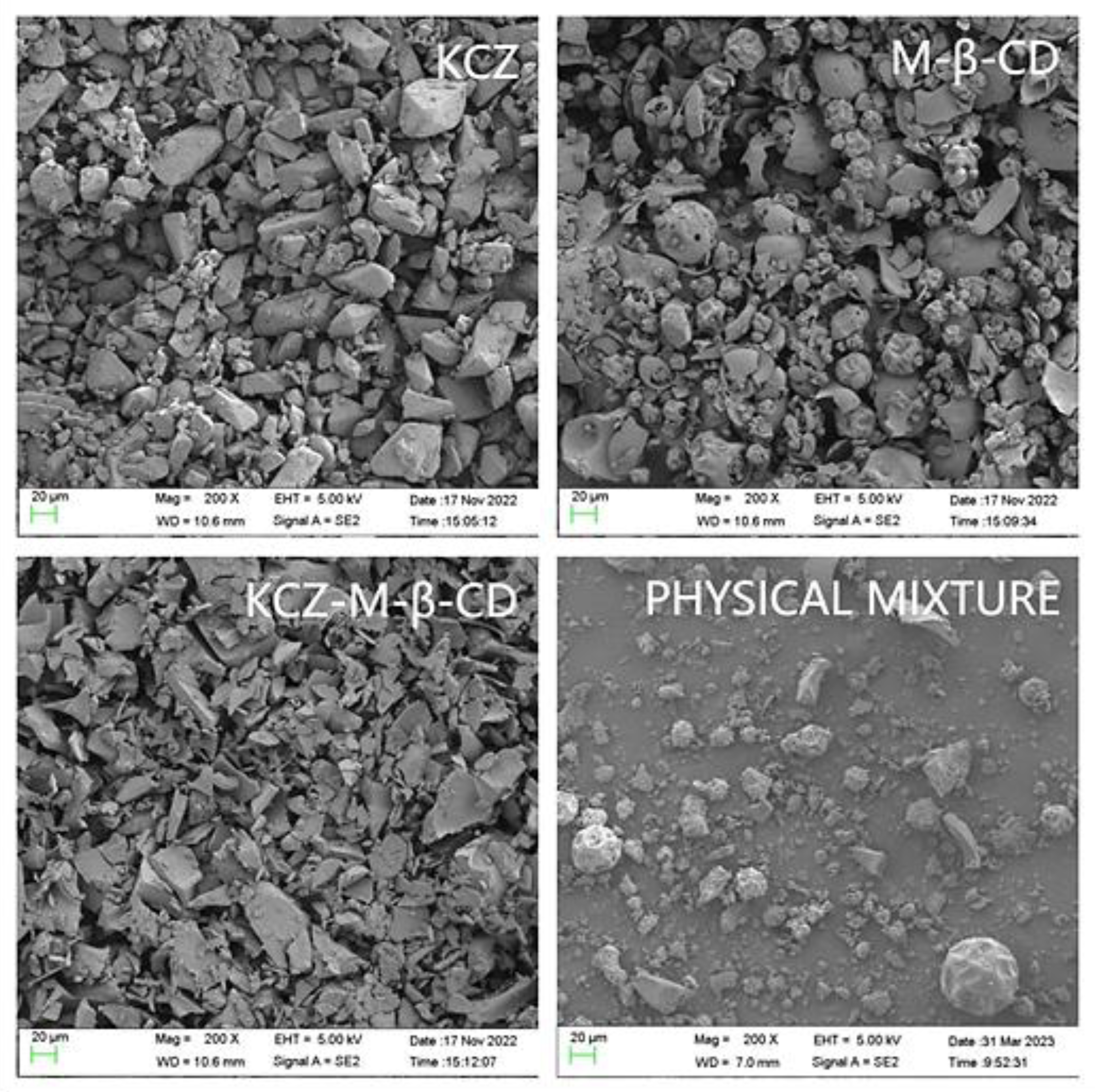 Molecules 29 01915 g006