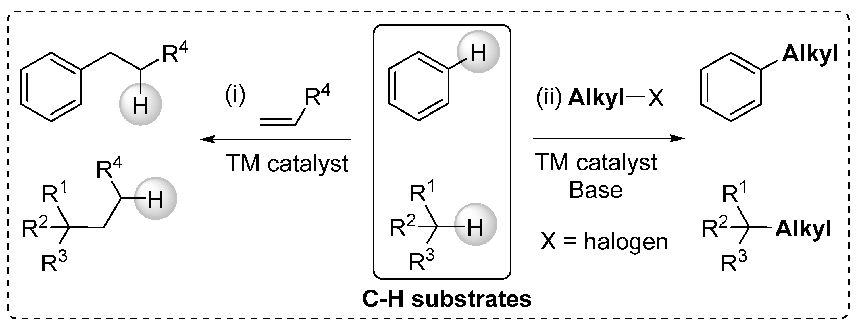 Molecules 29 01917 sch001