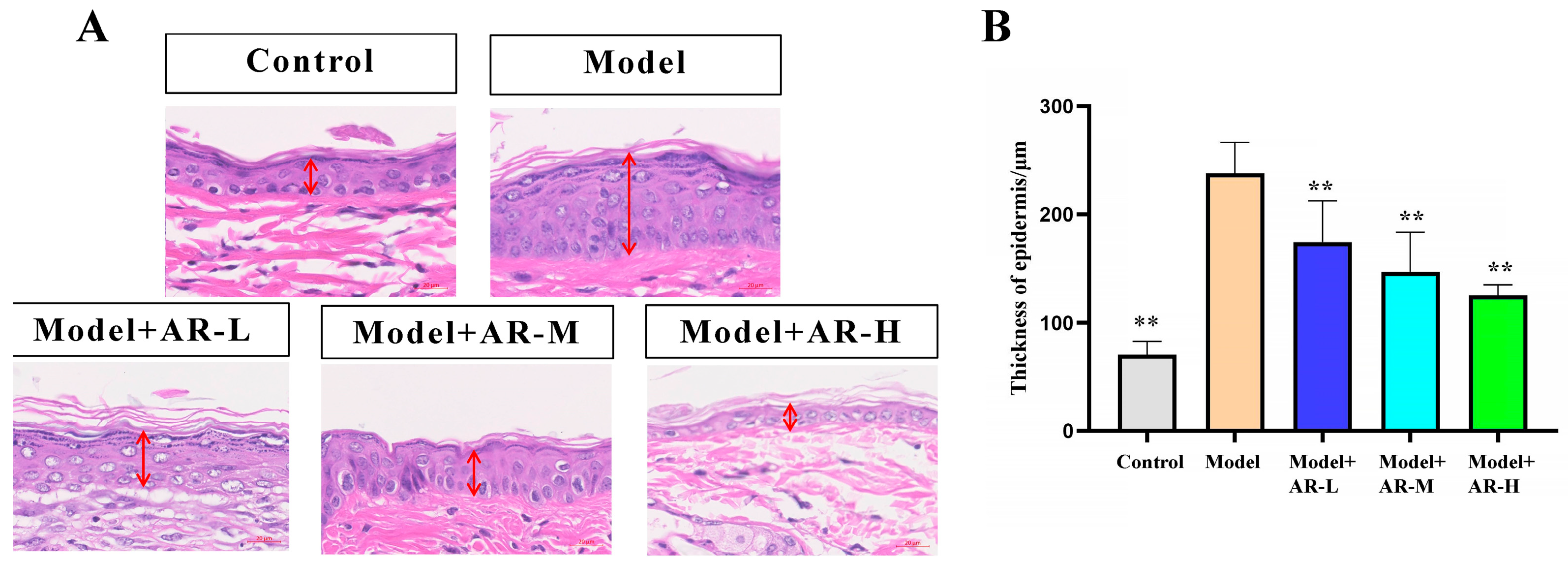 Molecules 29 01921 g003