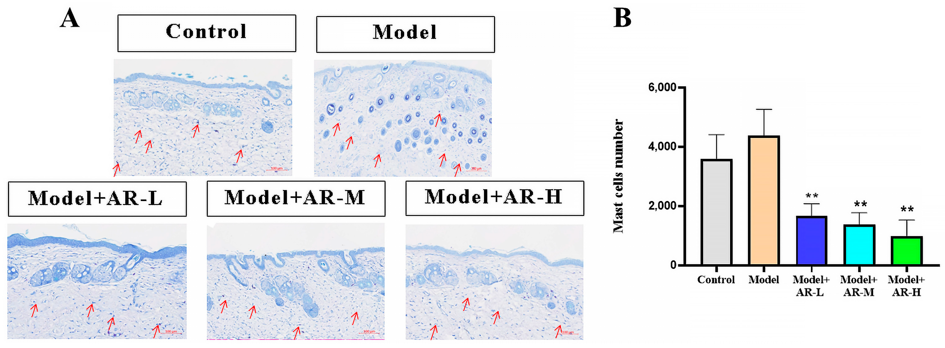 Molecules 29 01921 g004