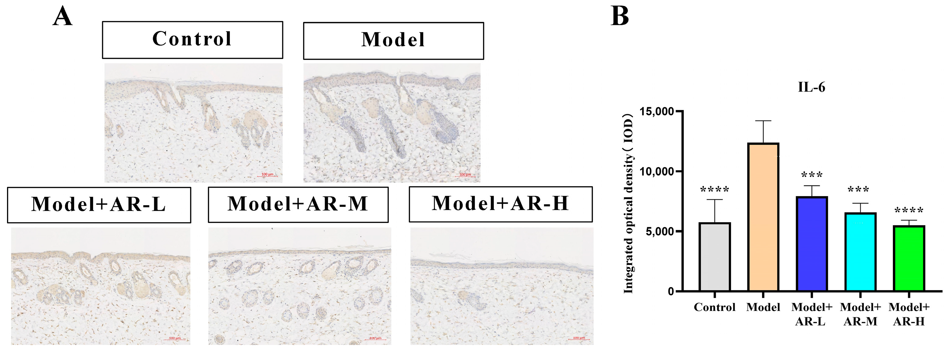 Molecules 29 01921 g008