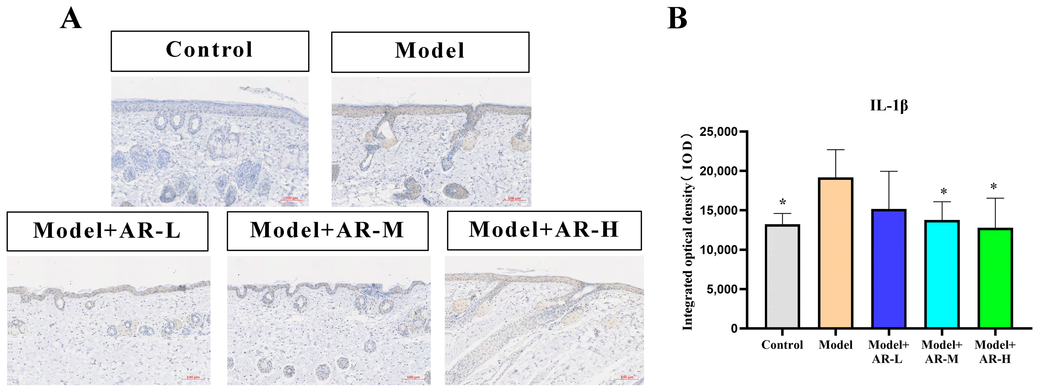 Molecules 29 01921 g009