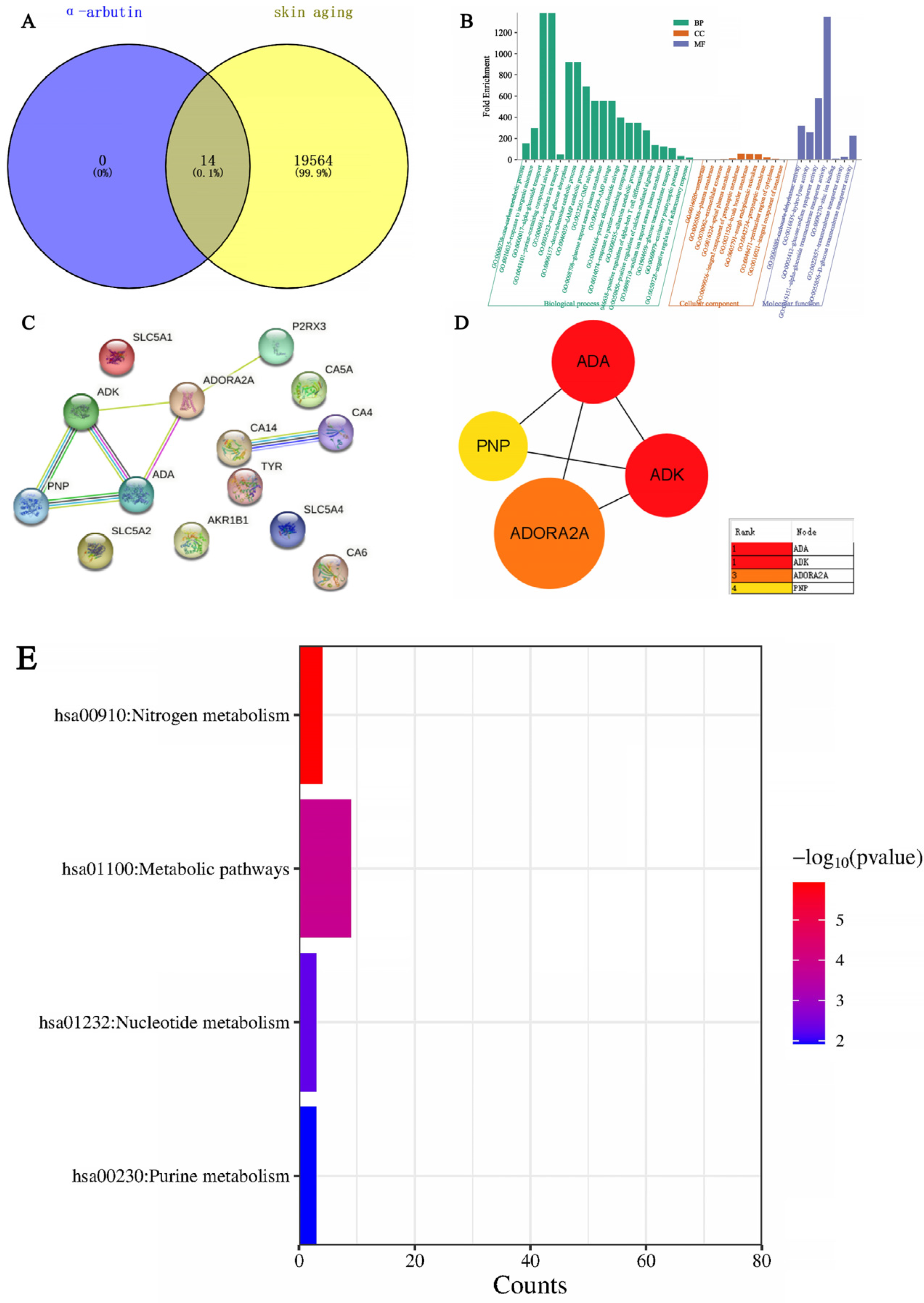 Molecules 29 01921 g017