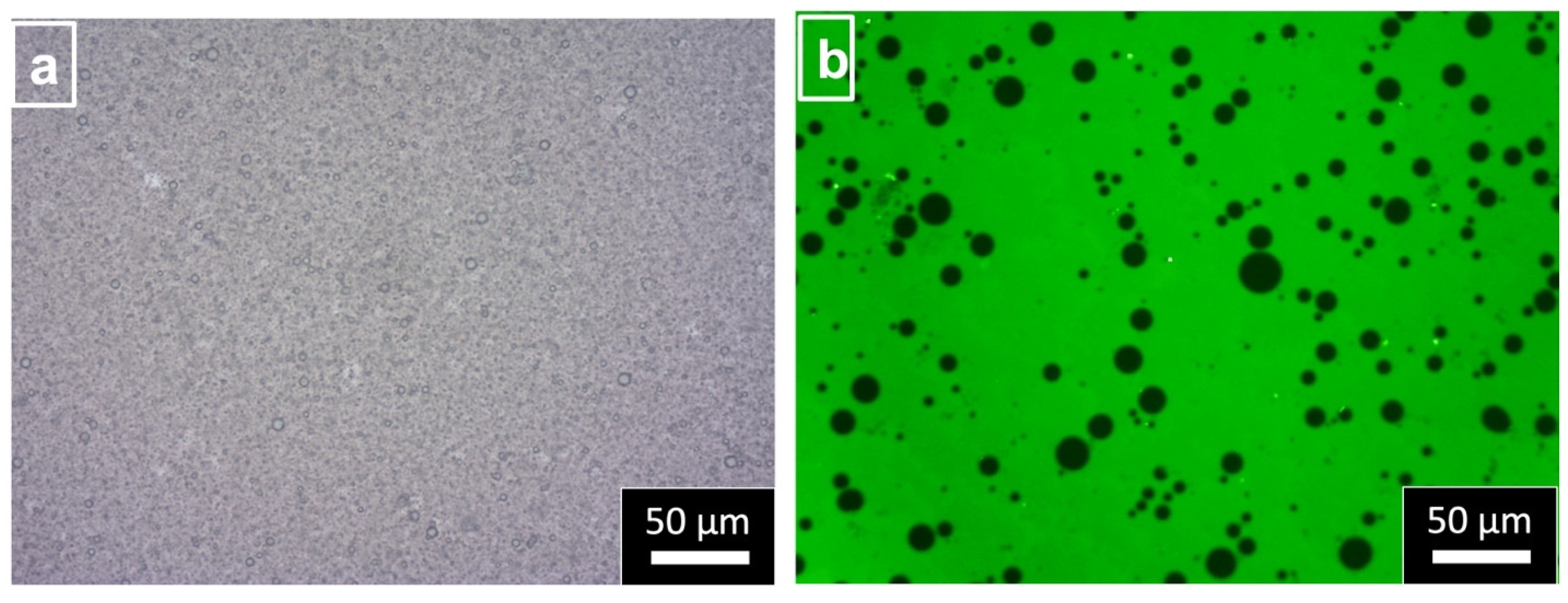 Molecules 29 01923 g004