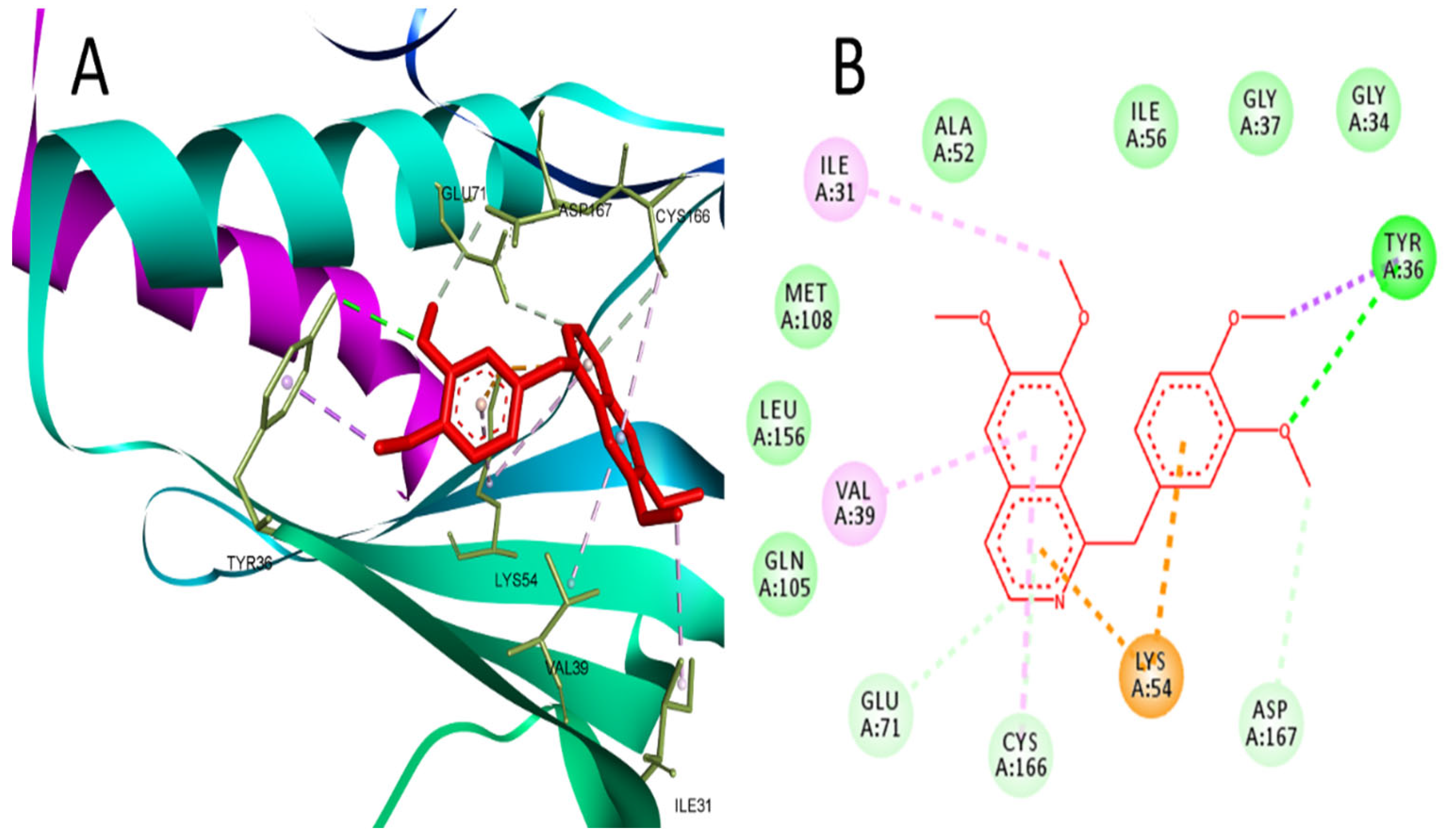 Molecules 29 01927 g003