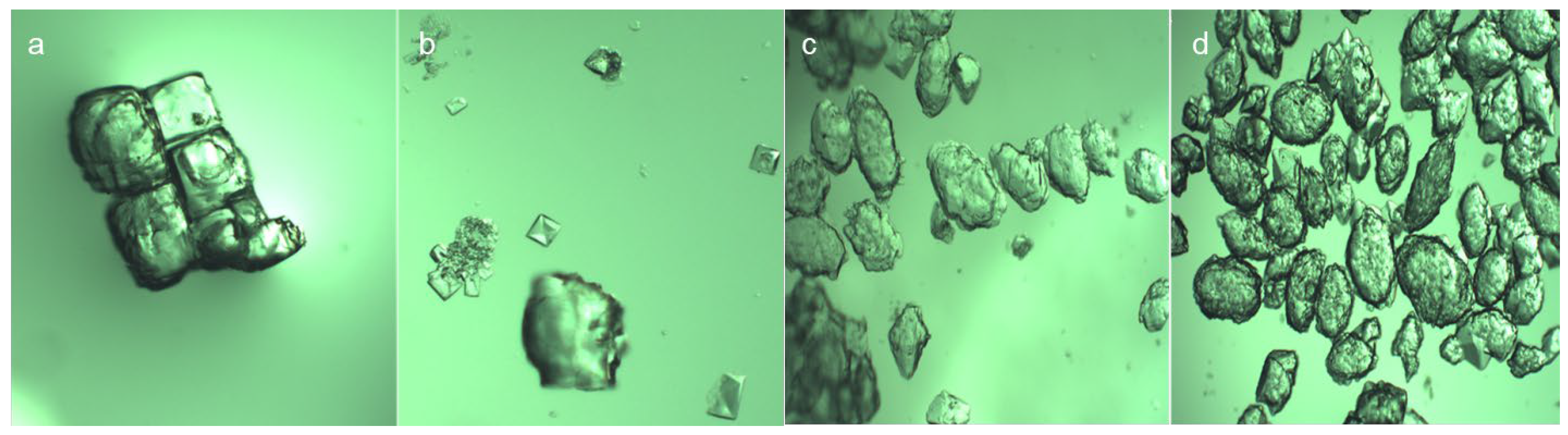 Molecules 29 01928 g006