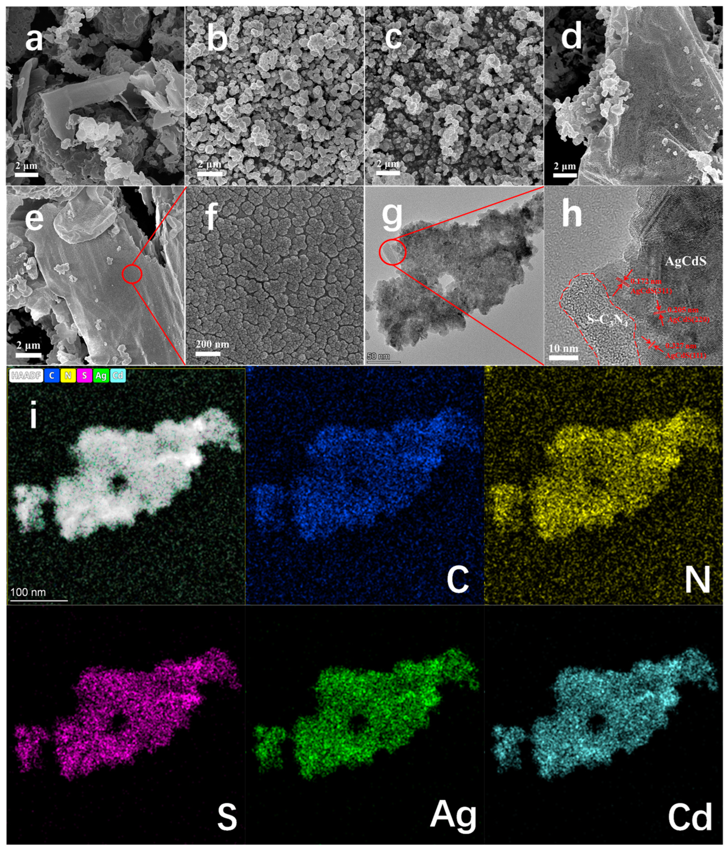Molecules 29 01931 g002