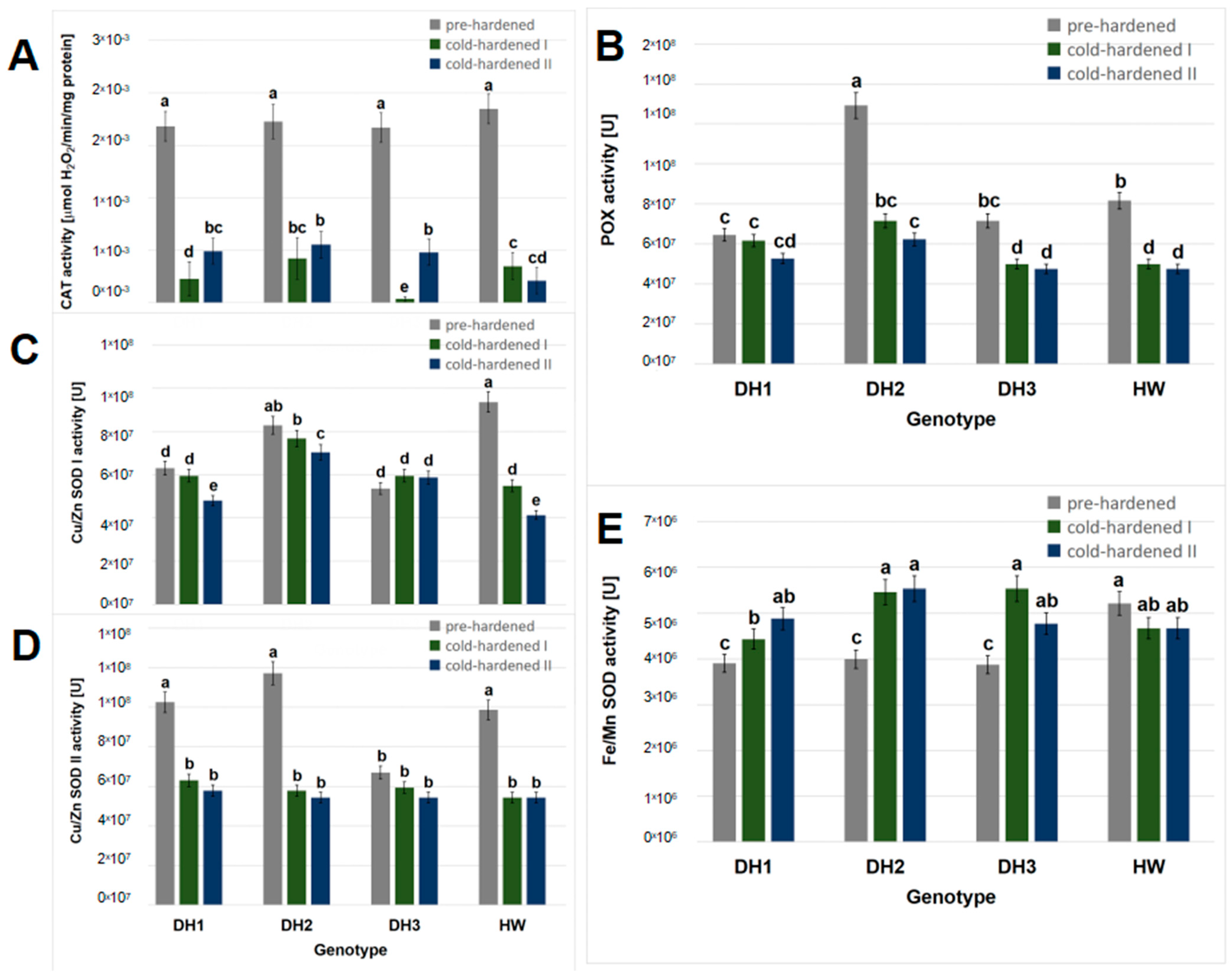 Molecules 29 01933 g003