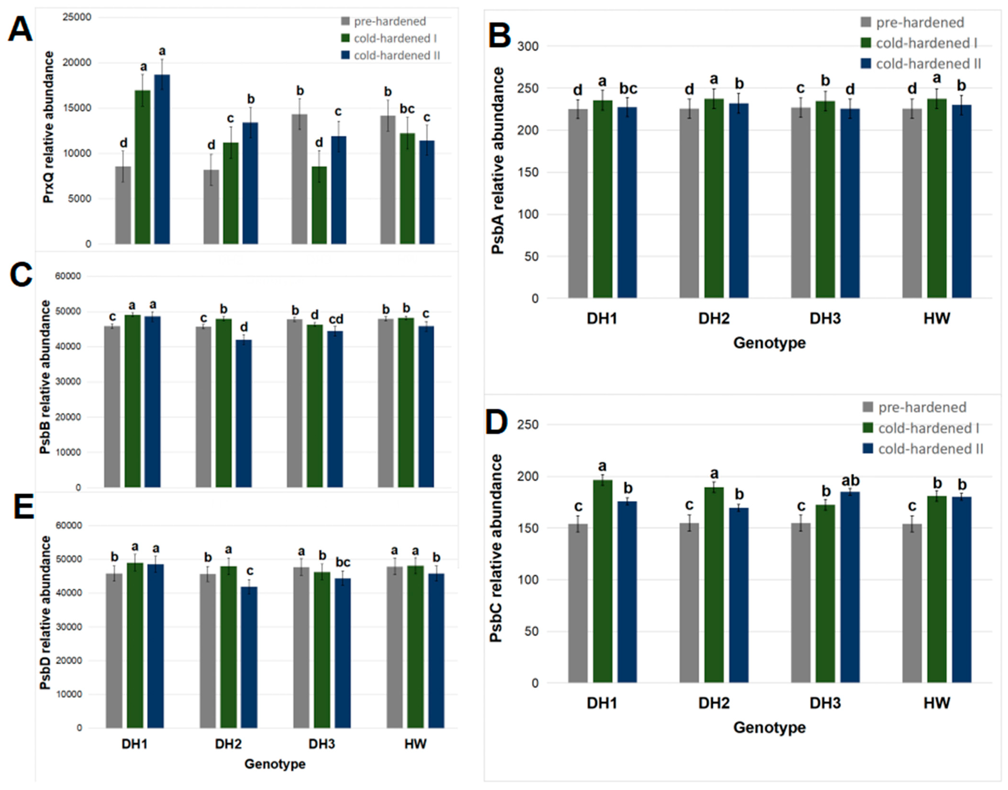Molecules 29 01933 g004