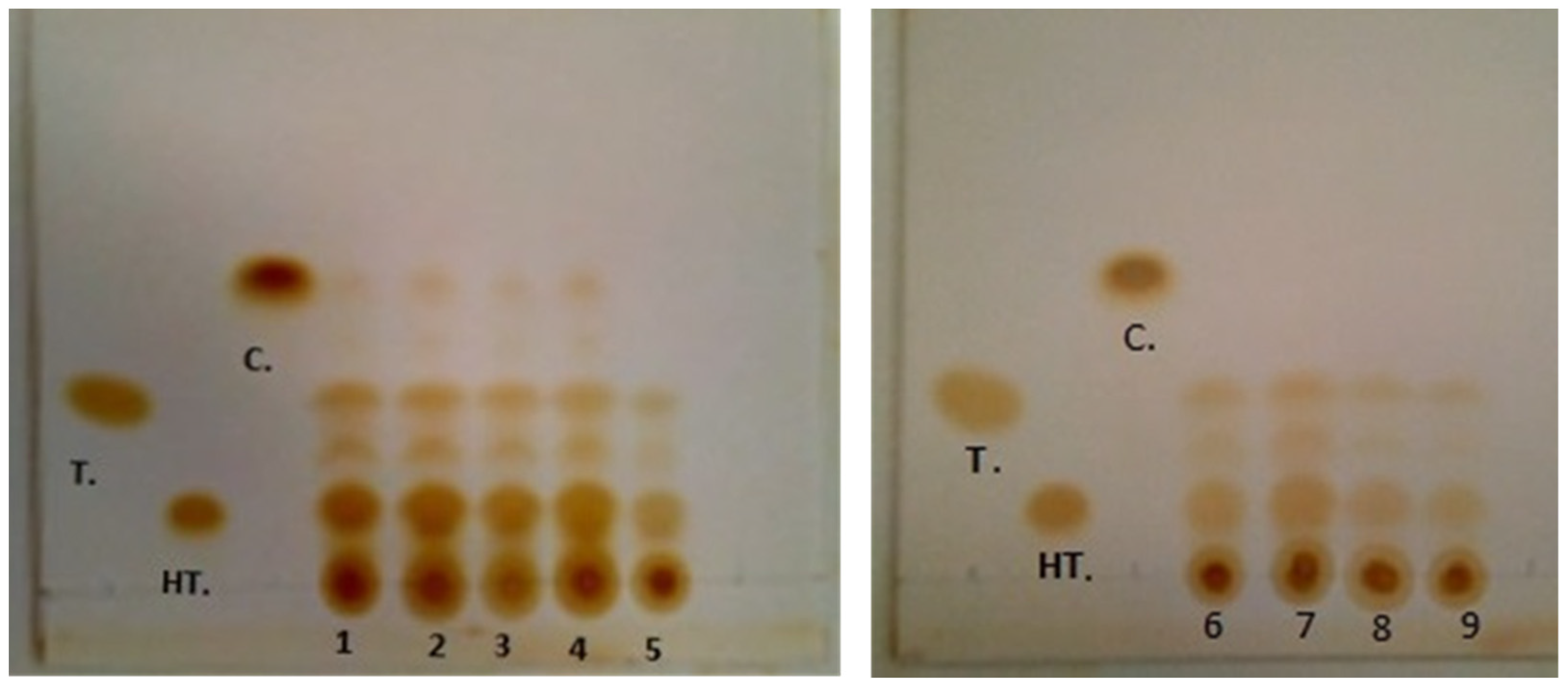 Molecules 29 01935 g001