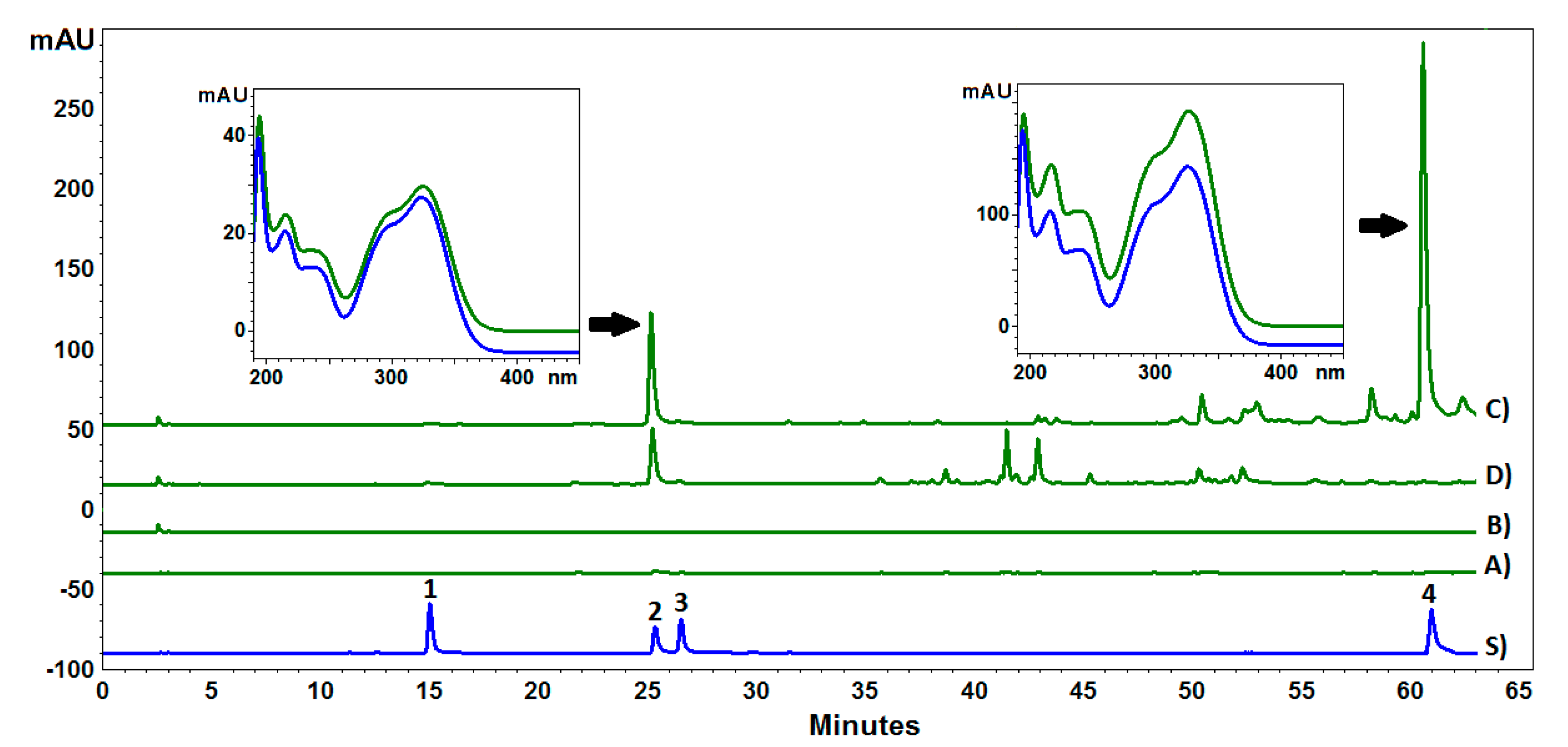 Molecules 29 01939 g001