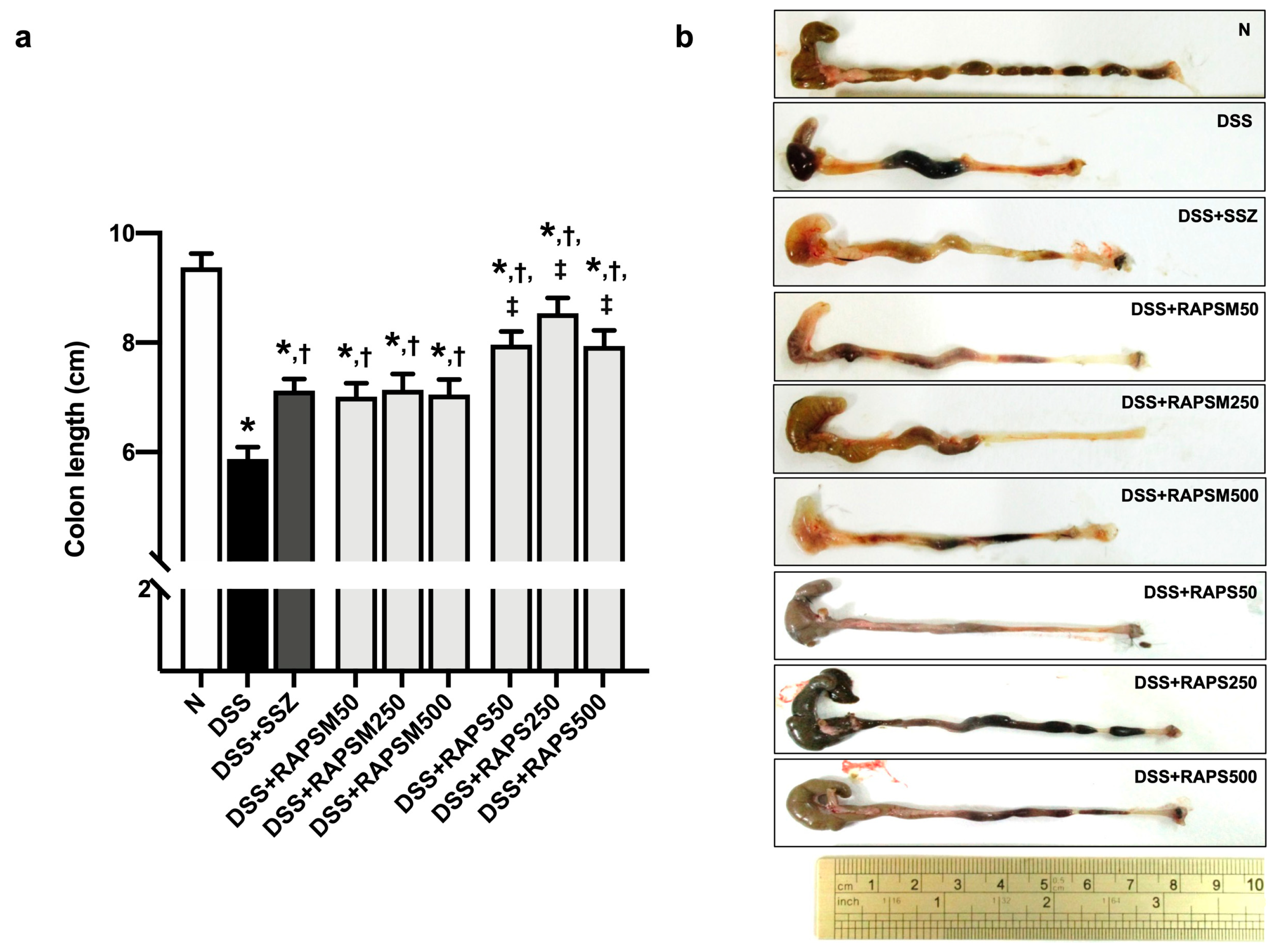 Molecules 29 01940 g003 Molecules 29 01940 g003