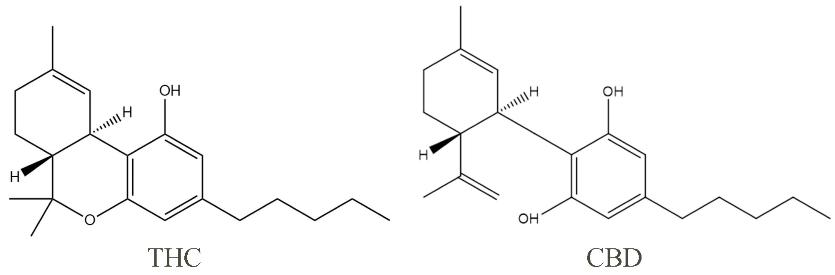Molecules 29 01943 g001