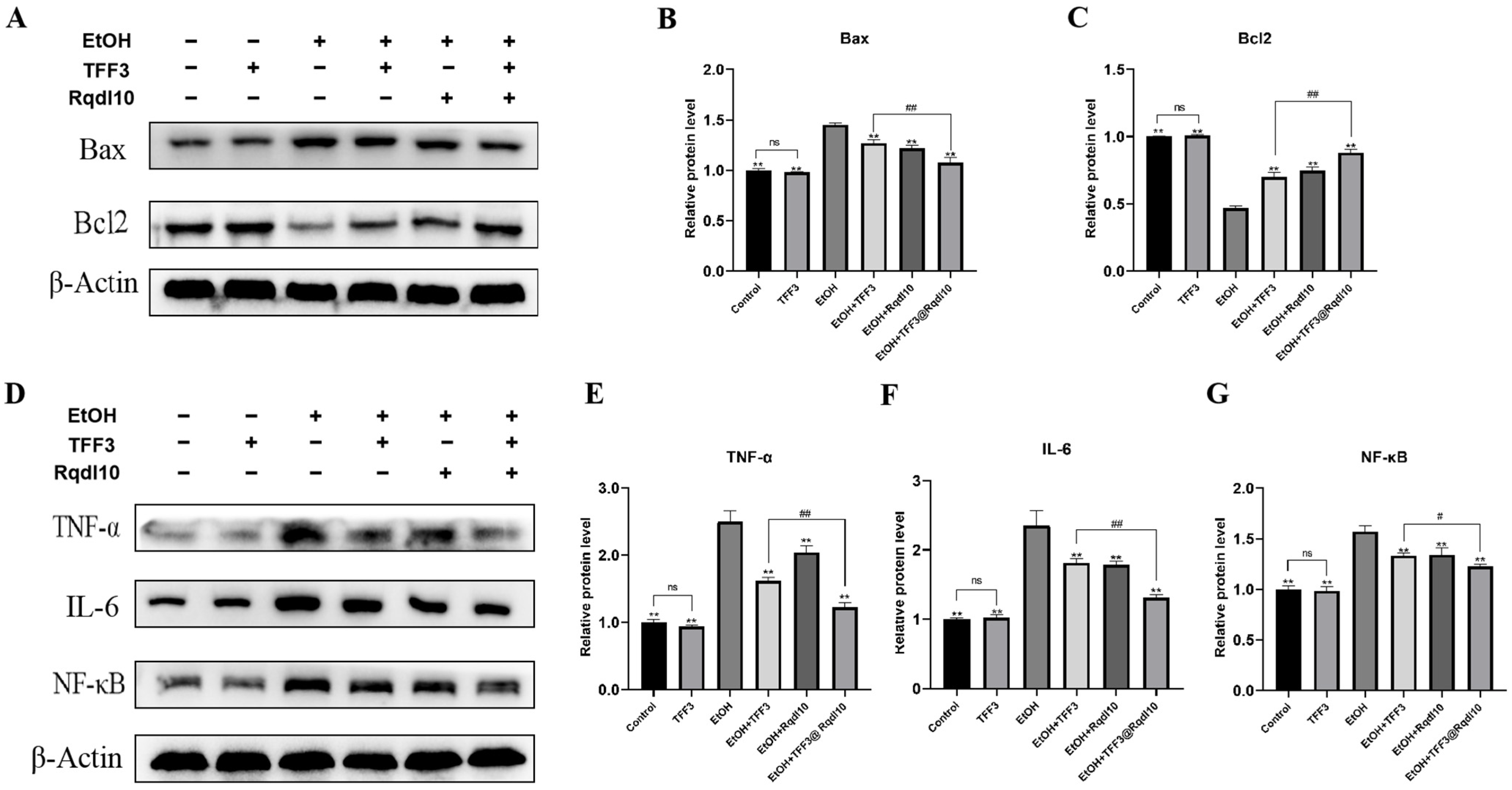 Molecules 29 01944 g007