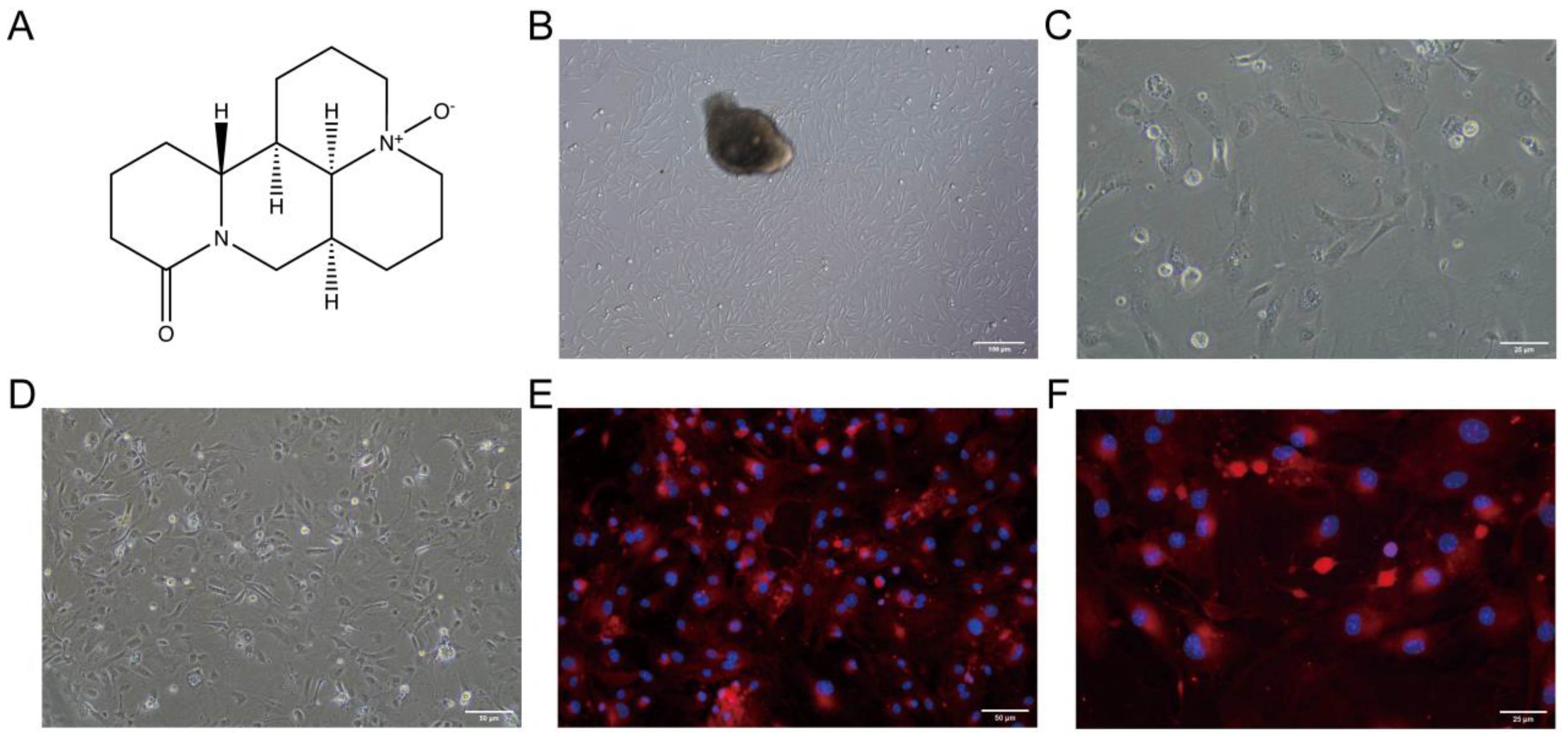 Molecules 29 01945 g001