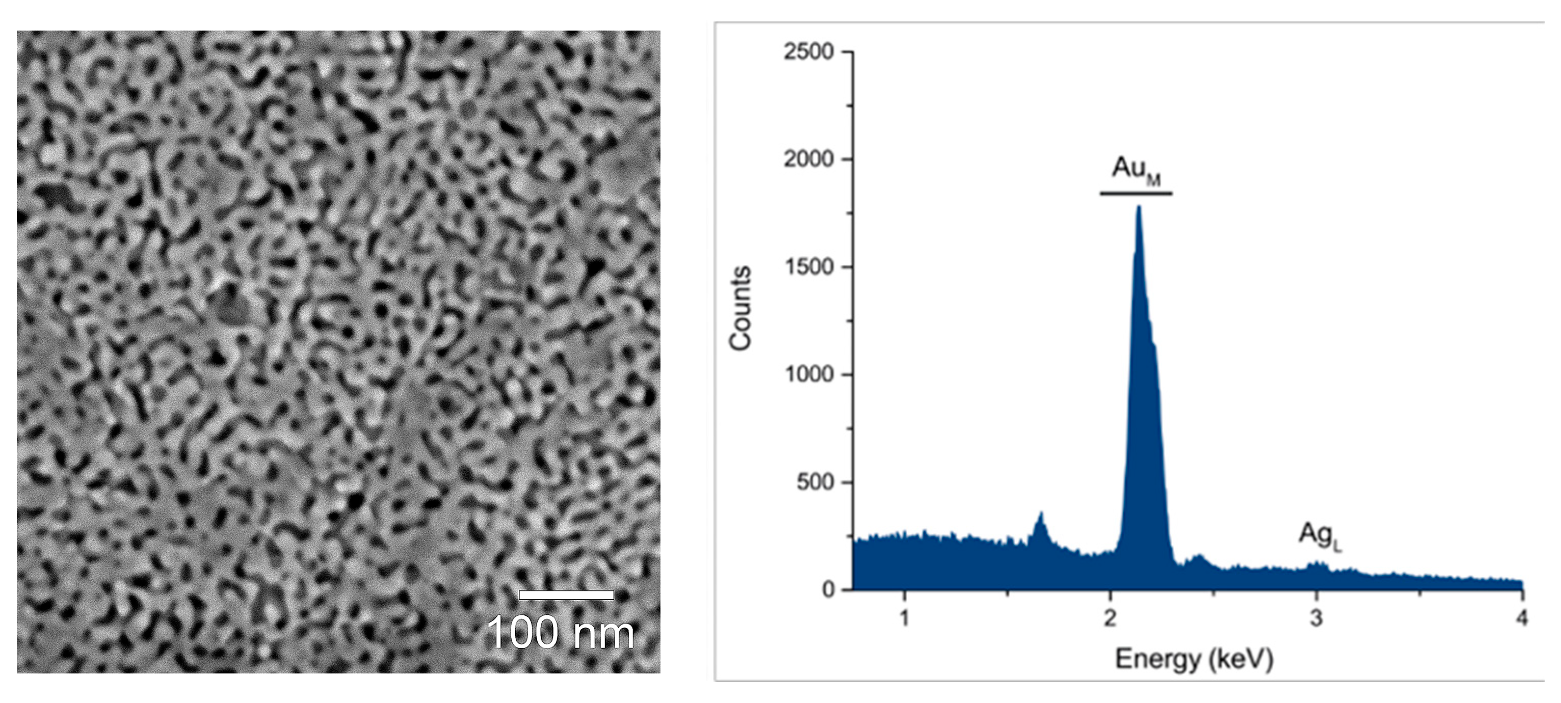 Molecules 29 01950 g001 Molecules 29 01950 g001