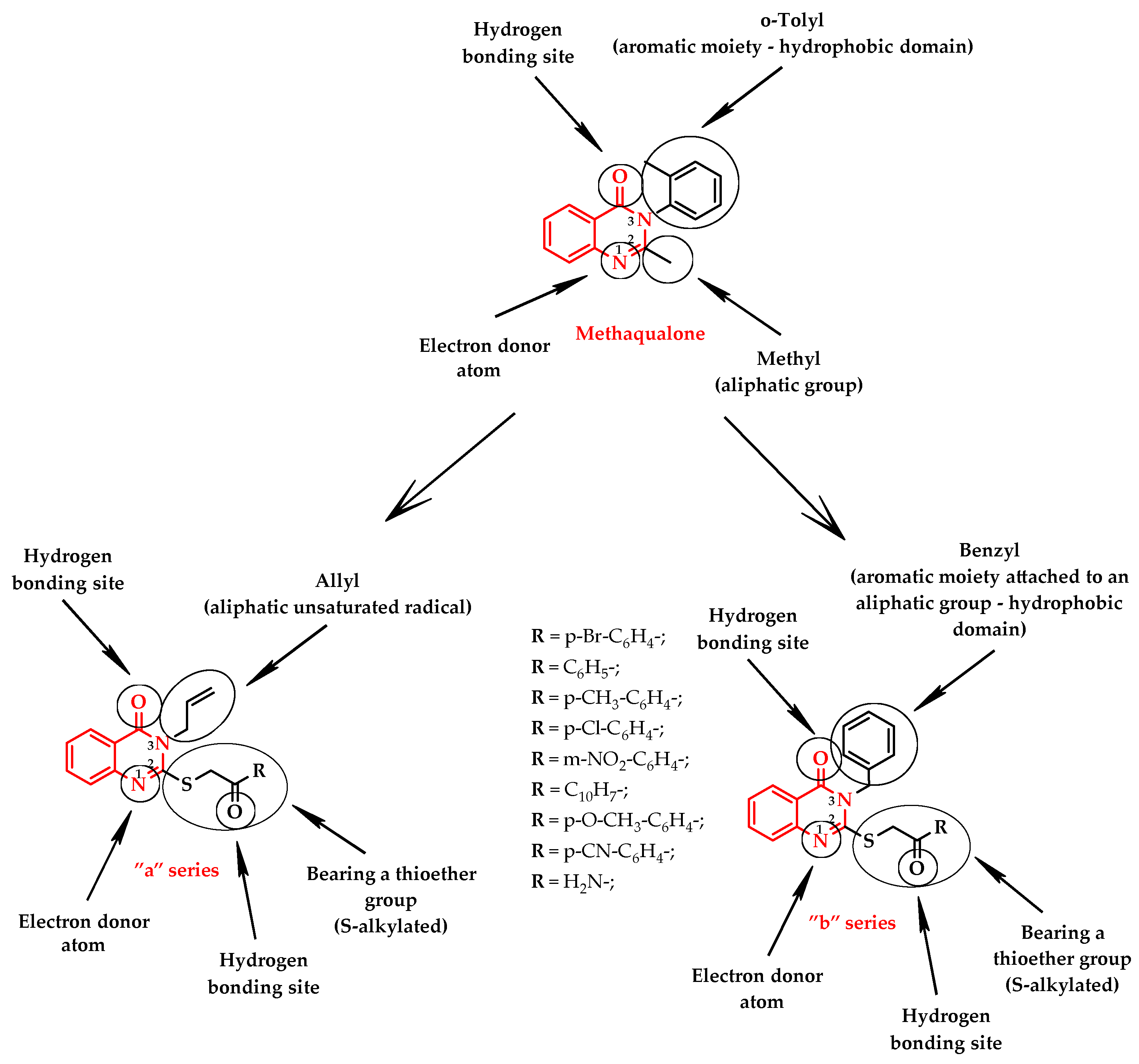 Molecules 29 01951 g001