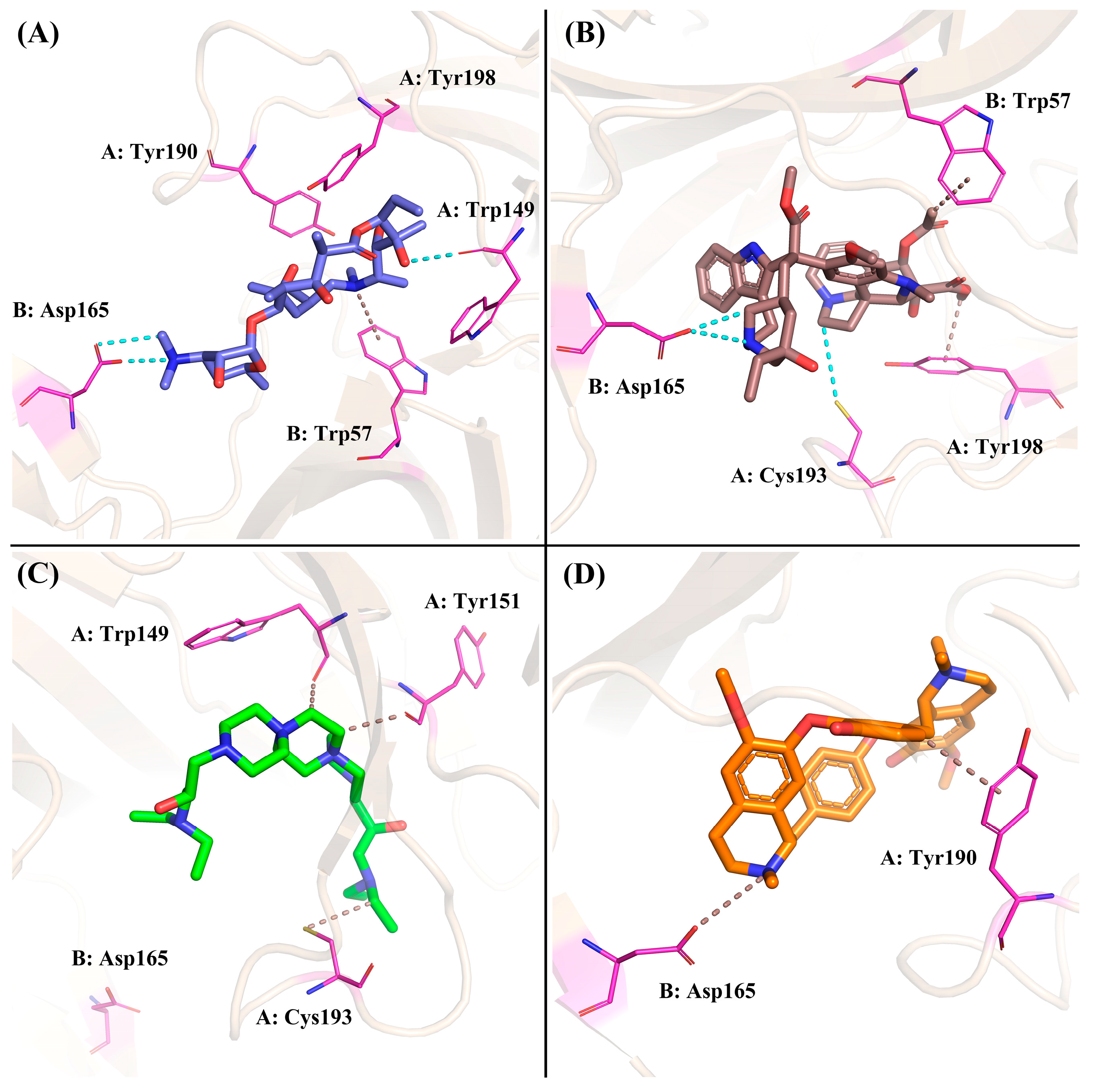 Molecules 29 01955 g012 Molecules 29 01955 g012