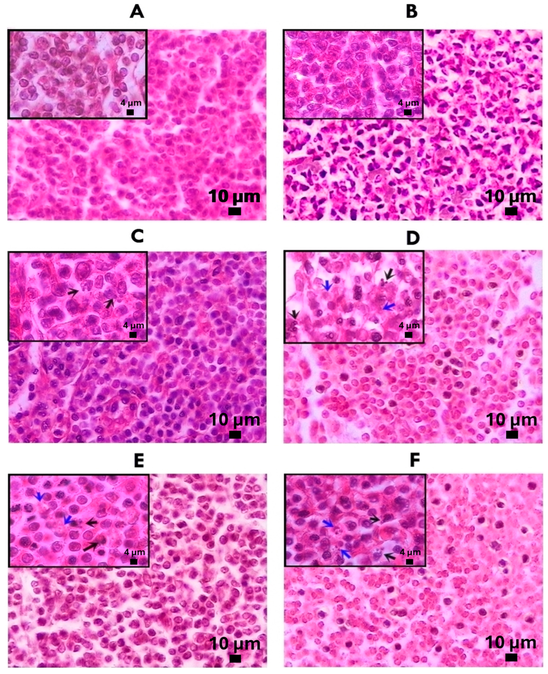 Molecules 29 01956 g004