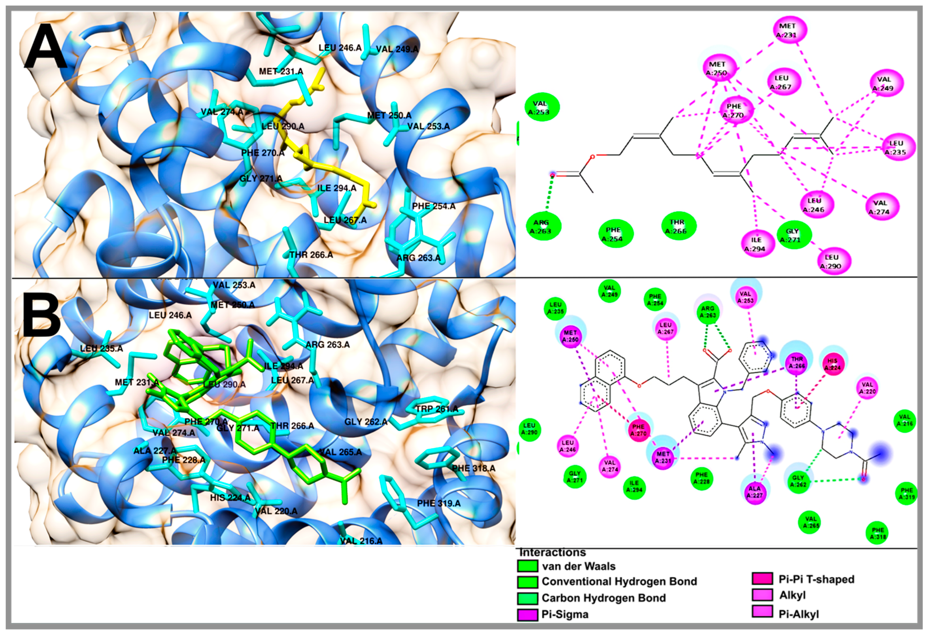 Molecules 29 01956 g006