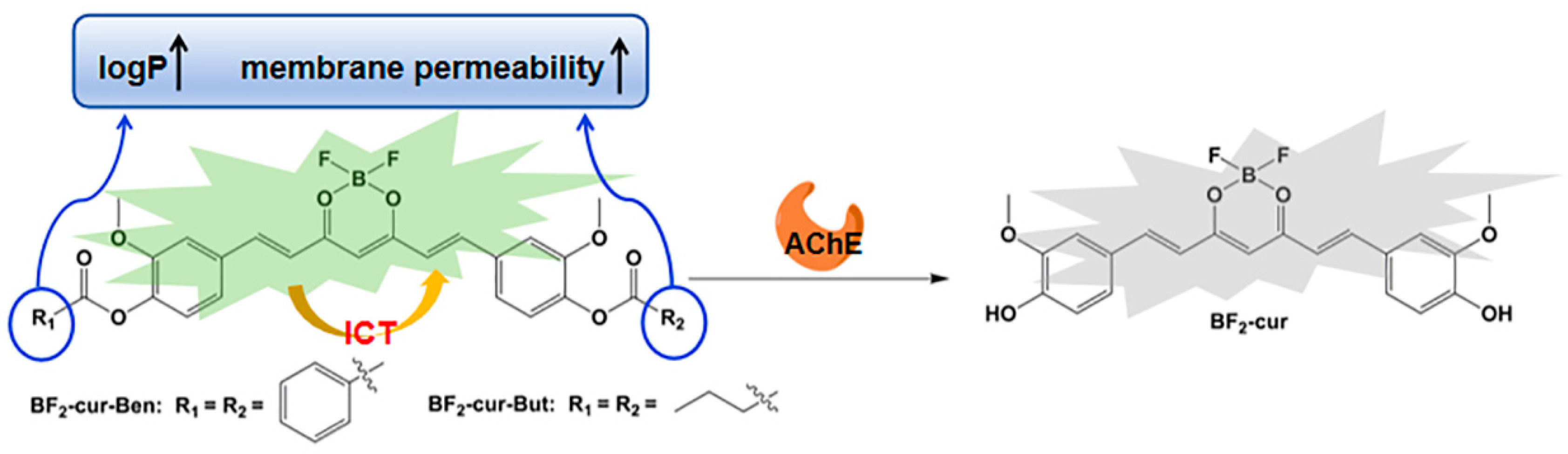Molecules 29 01961 g001