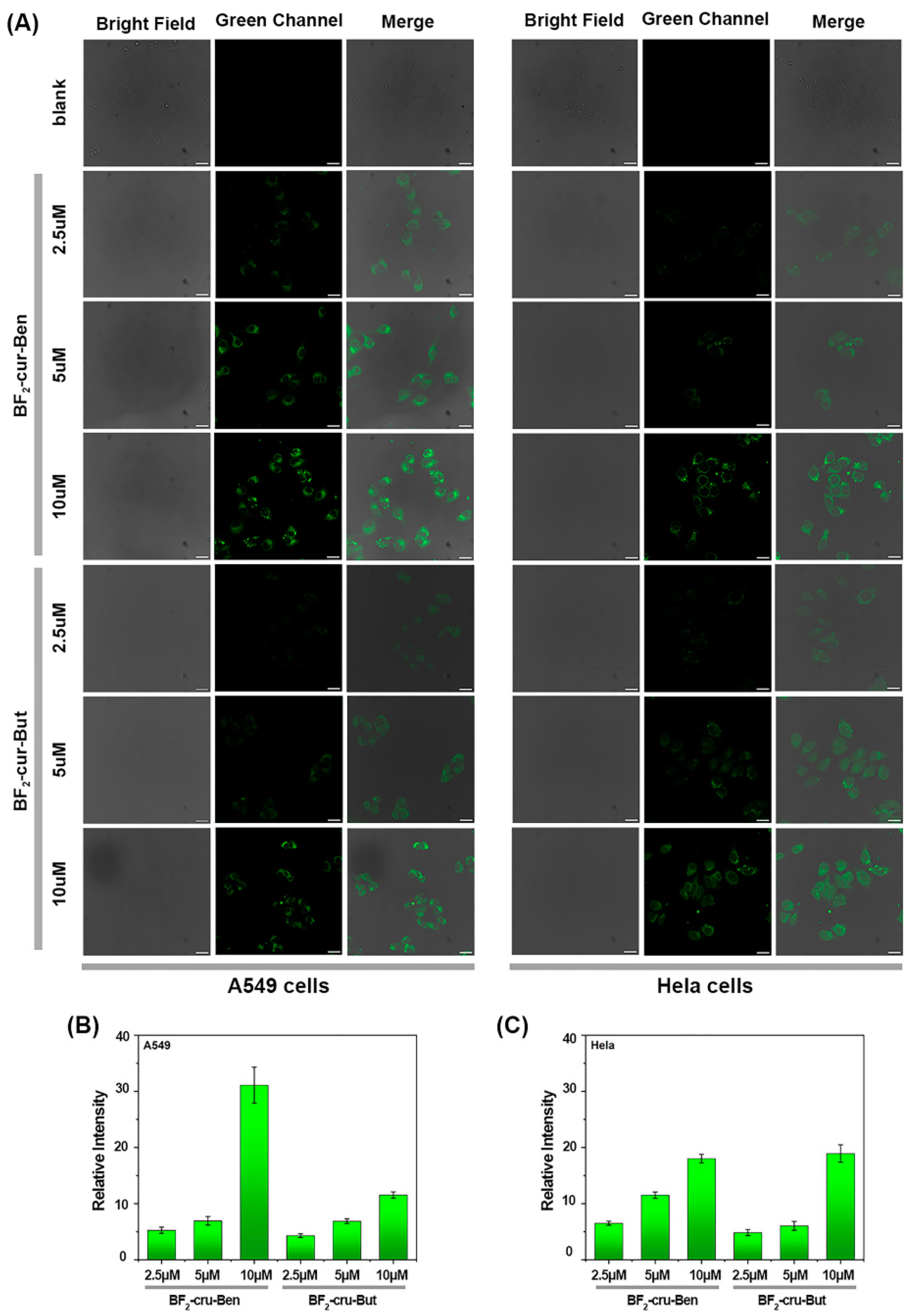 Molecules 29 01961 g006