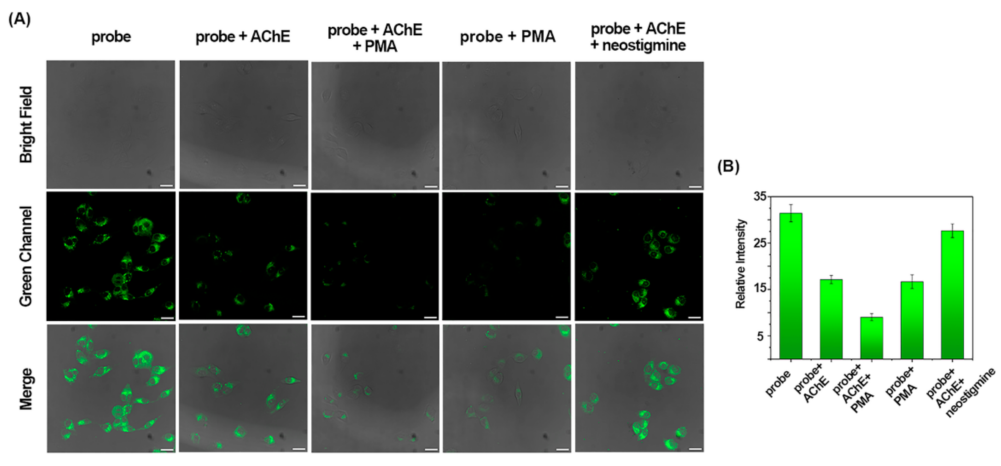Molecules 29 01961 g007