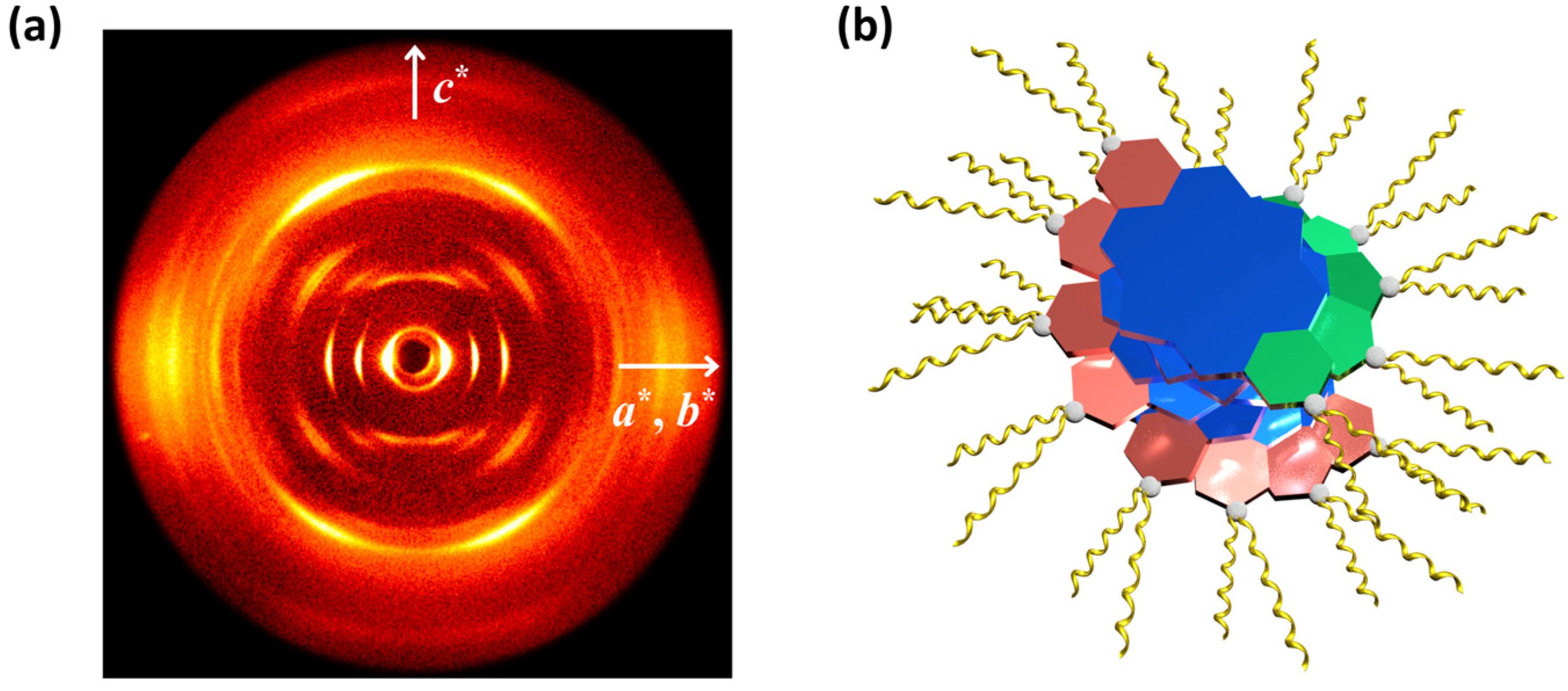 Molecules 29 01964 g003